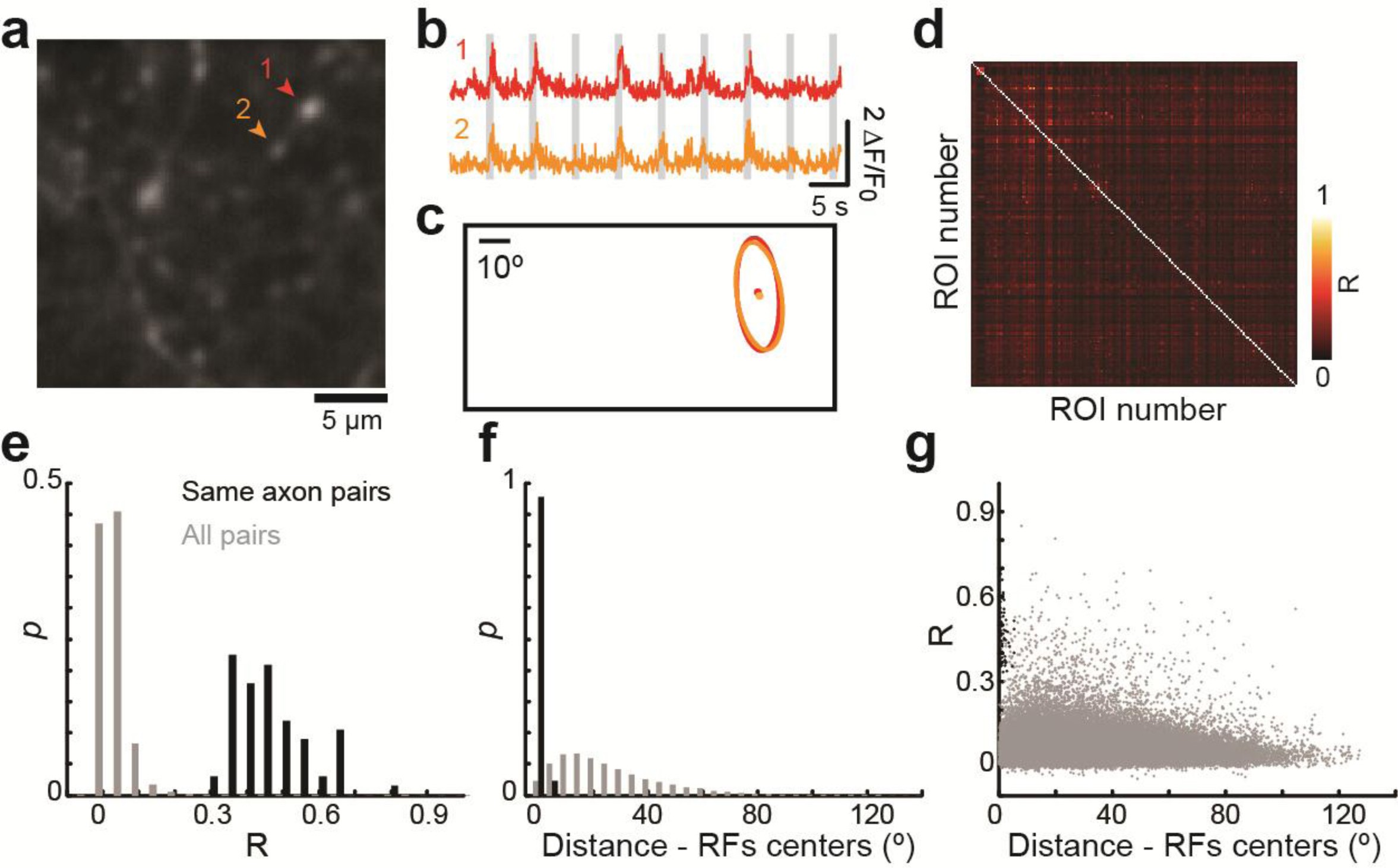 Supplementary Figure 2