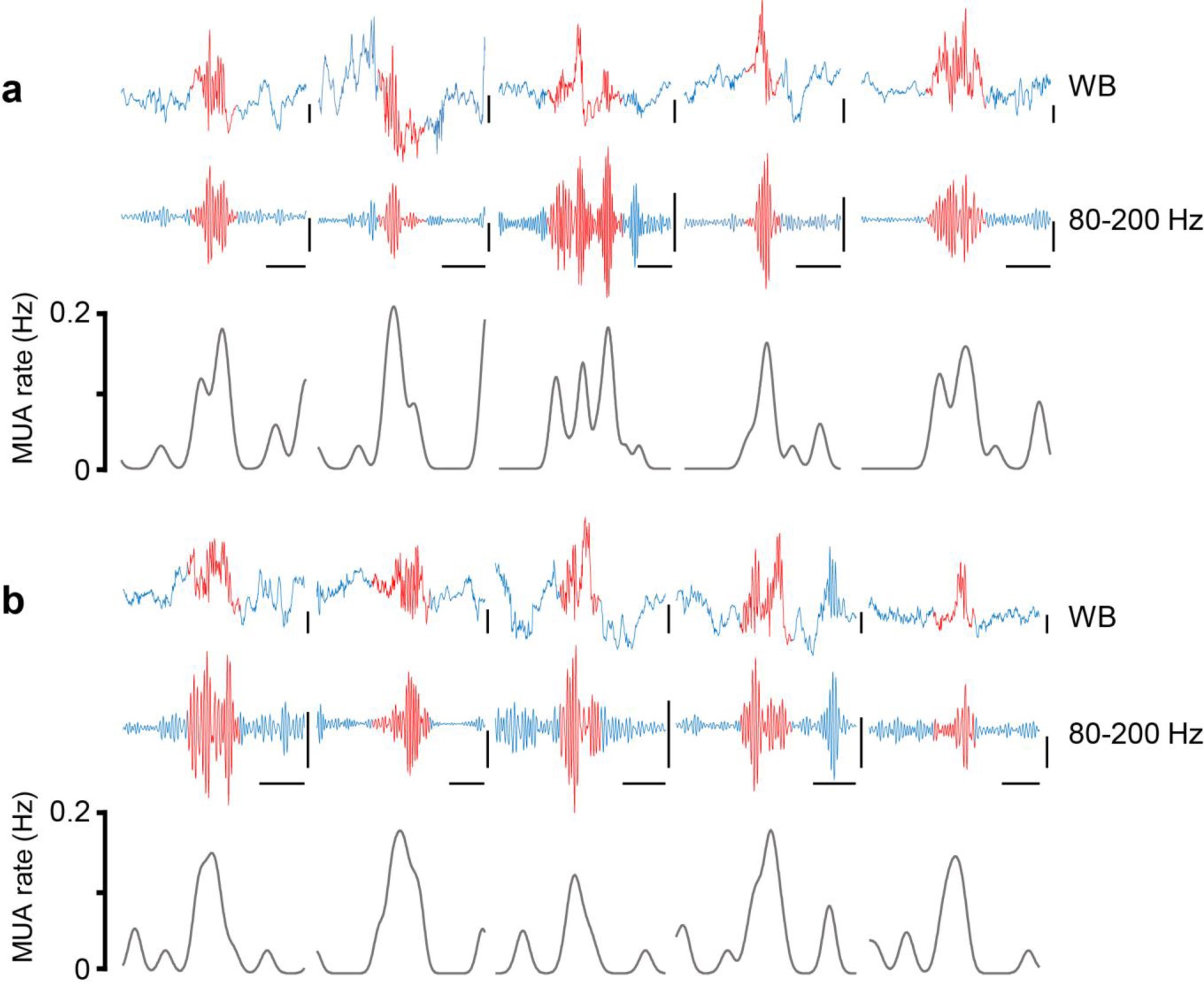 Supplementary Figure 2