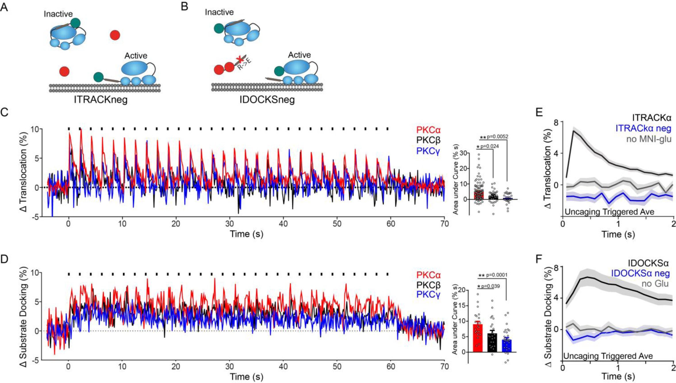 Supplementary Figure 1