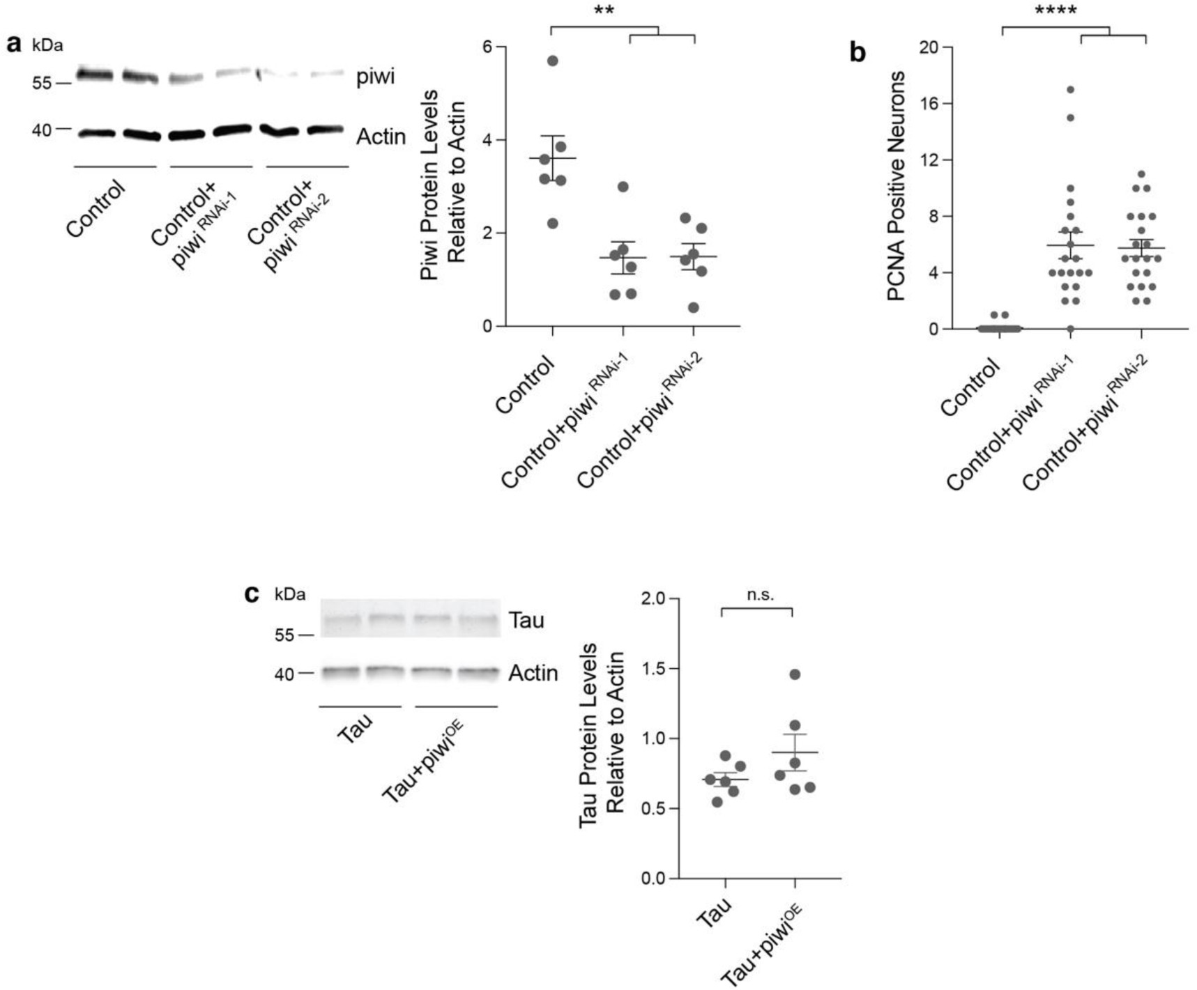 Supplementary Figure 4