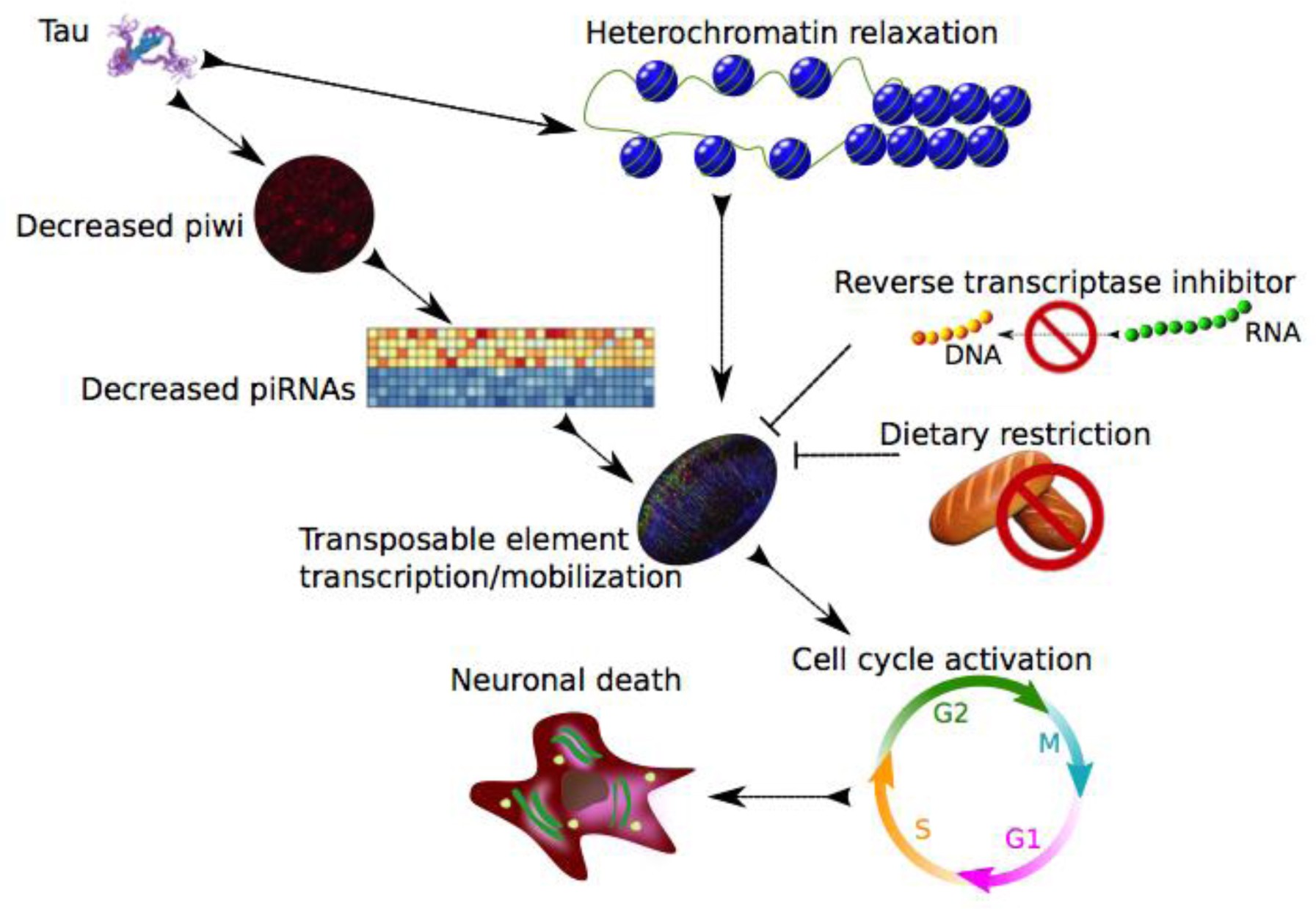 Supplementary Figure 9
