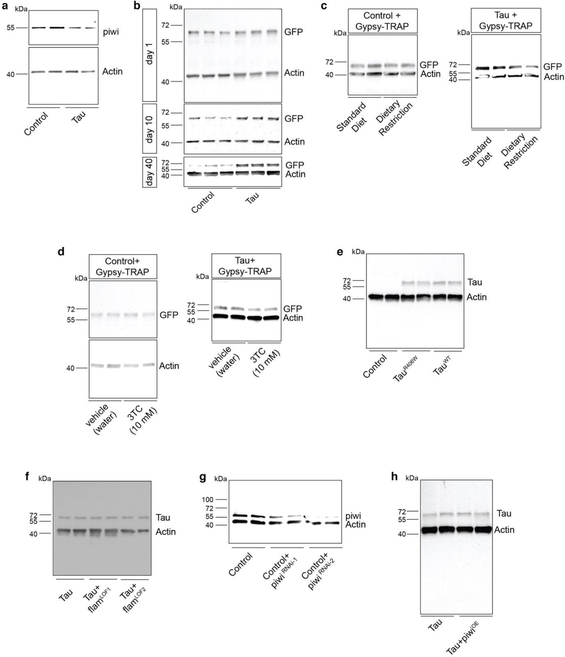 Supplementary Figure 10