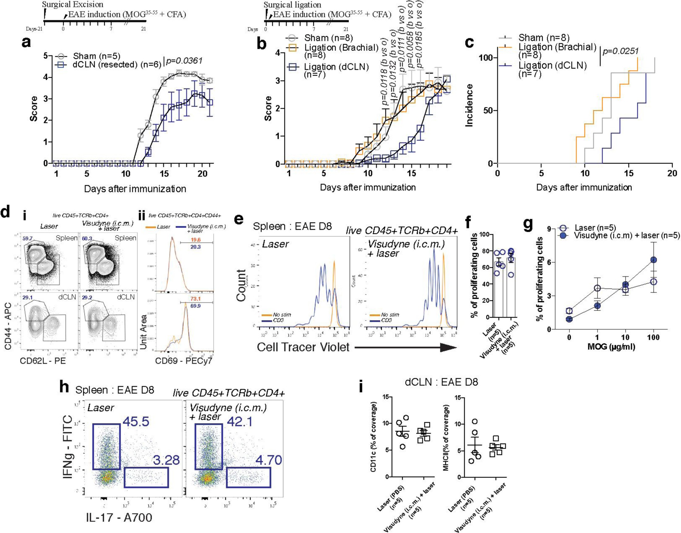 Supplementary Figure 7