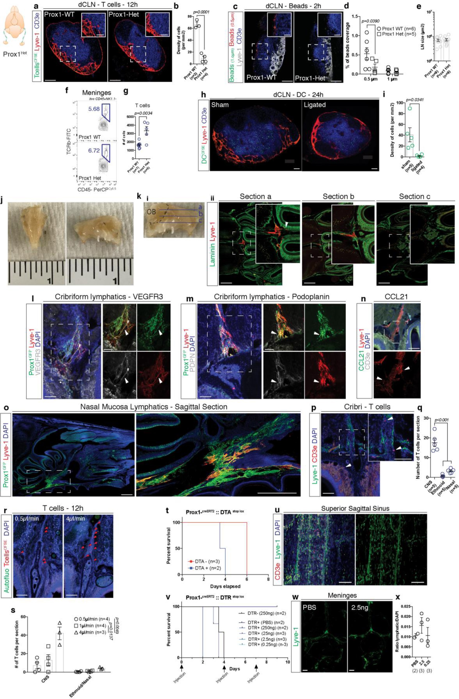 Supplementary Figure 4
