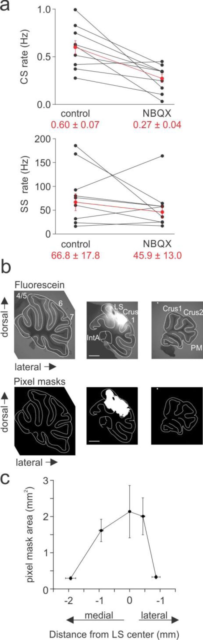 Supplementary Figure 4