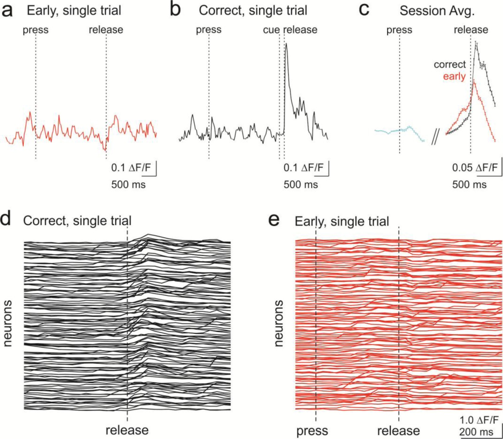 Supplementary Figure 8