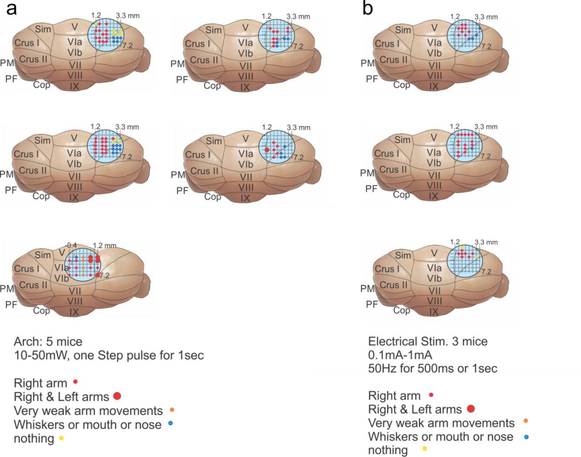 Supplementary Figure 1