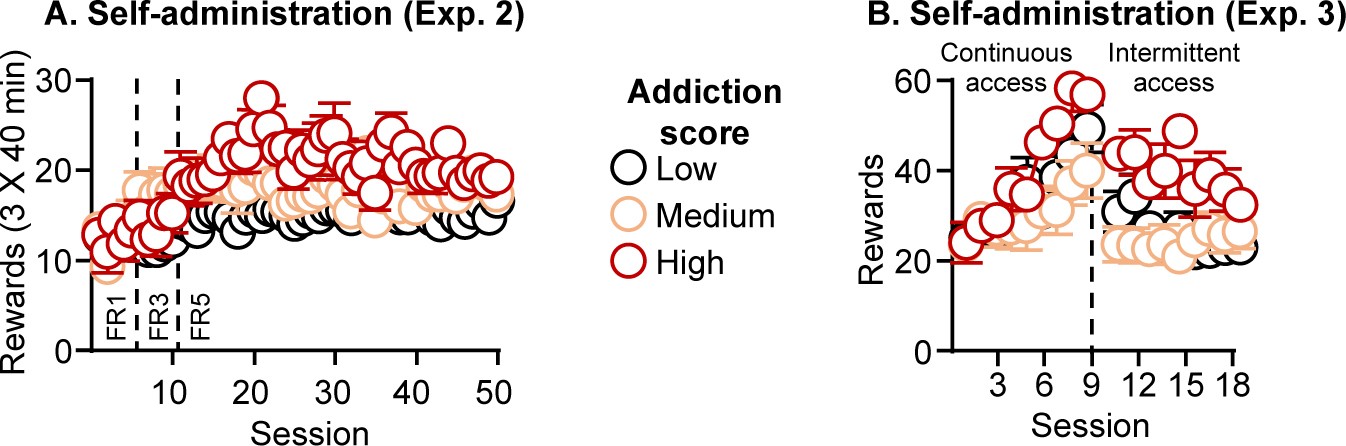 Supplementary Figure 2: Addiction score-based methamphetamine self-administration.
