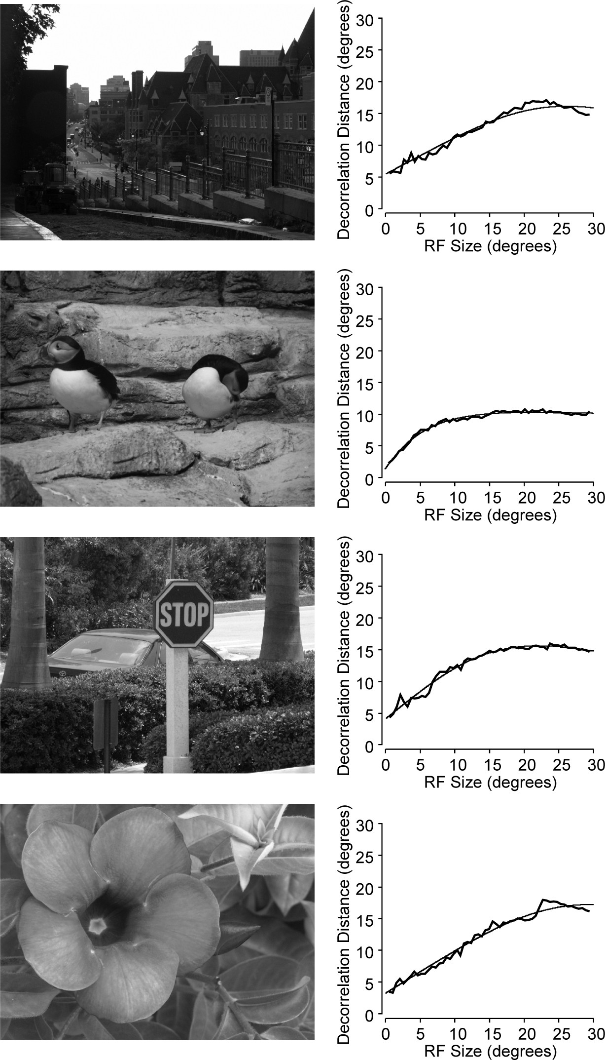 Supplementary Figure 2