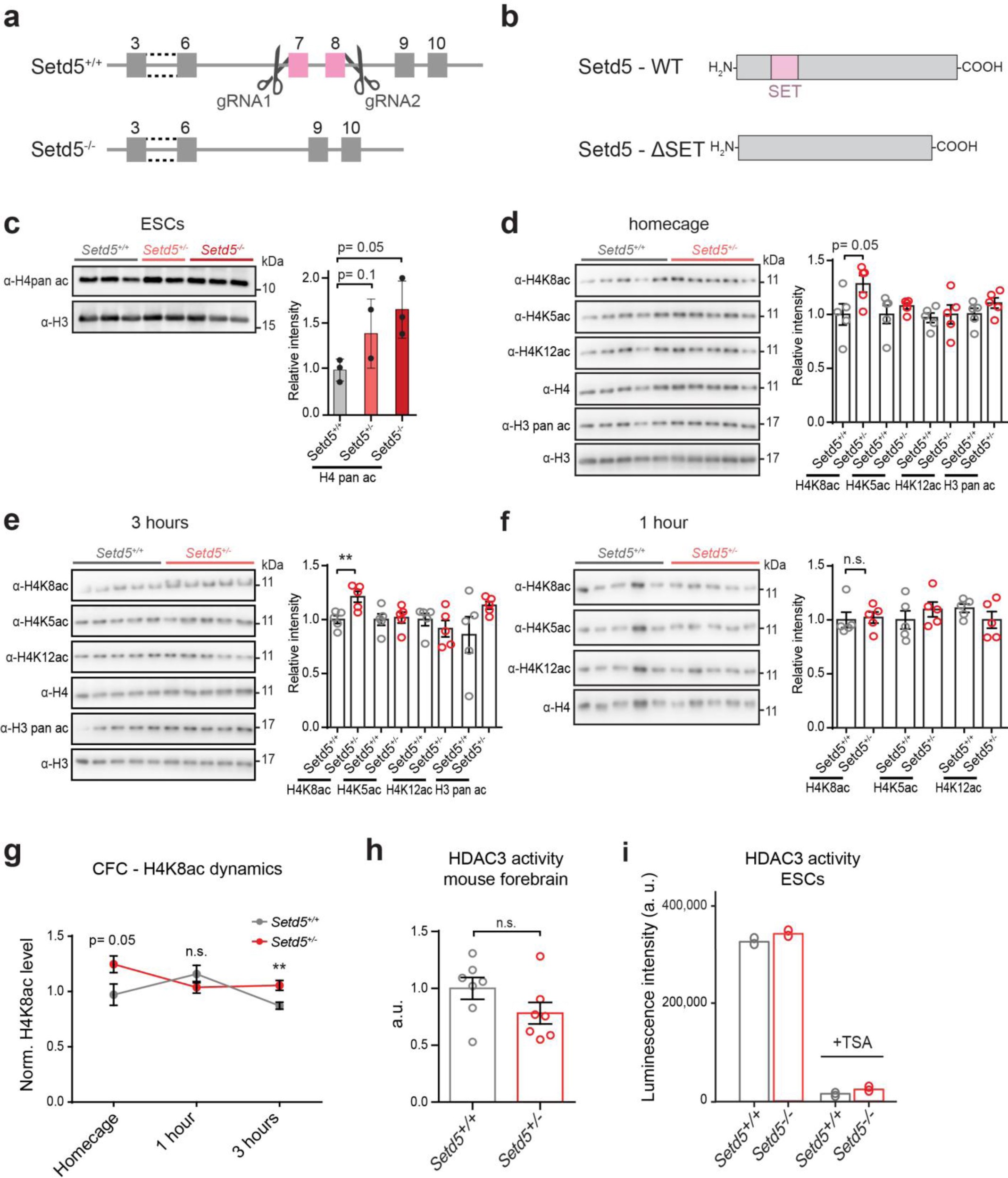 Supplementary Figure 11