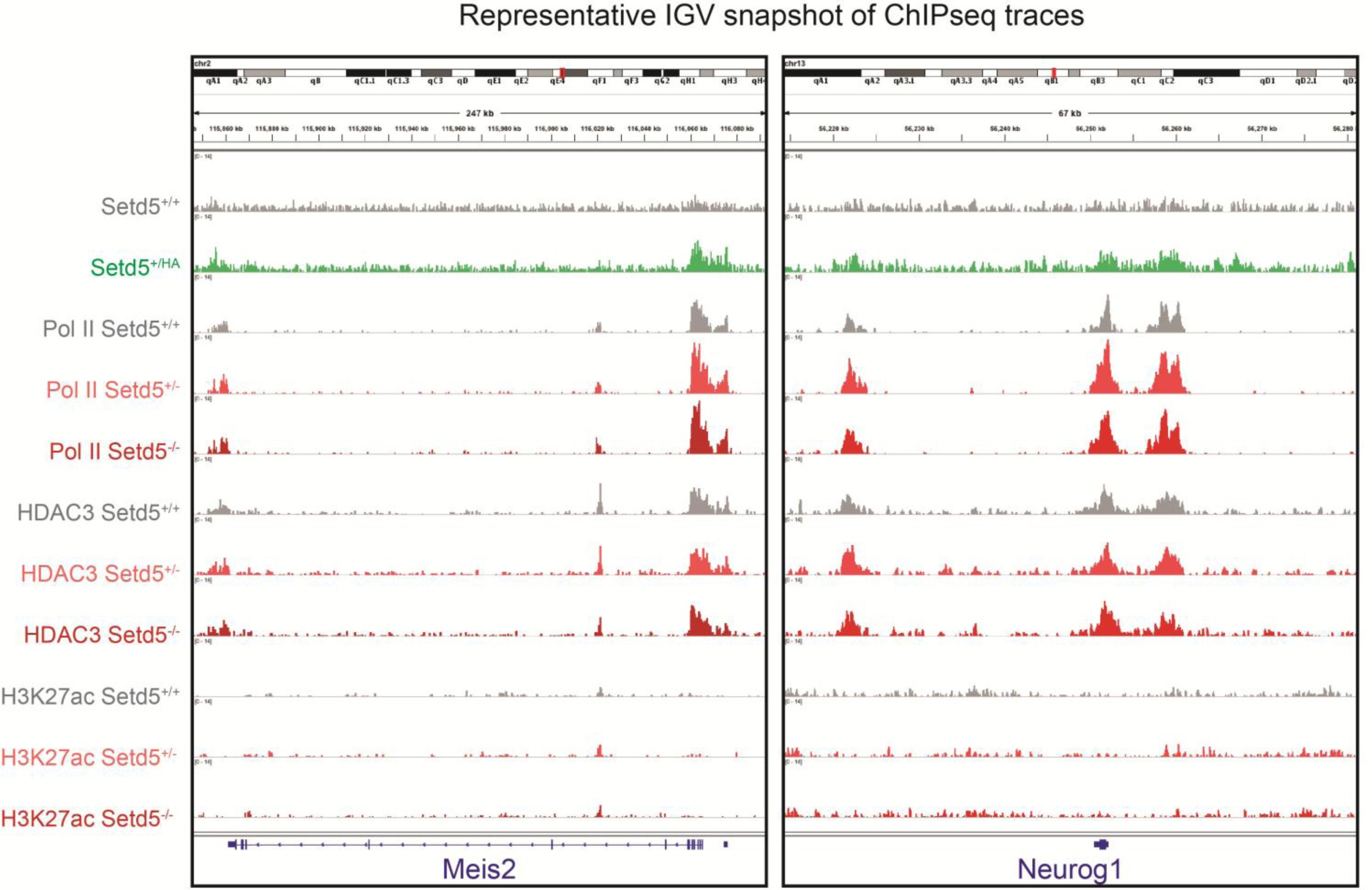 Supplementary Figure 13