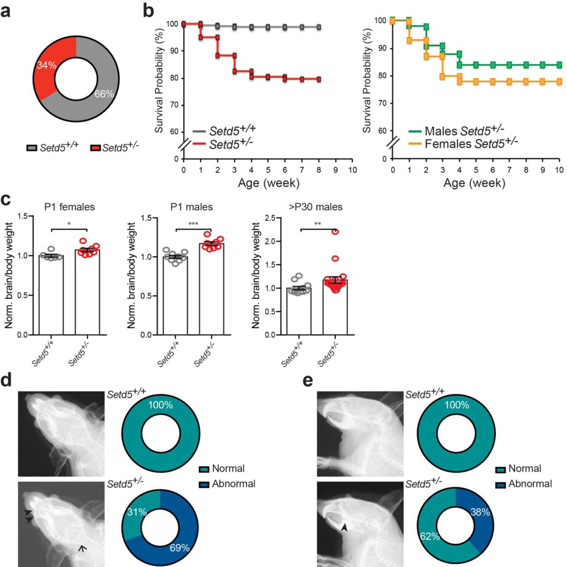 Supplementary Figure 2