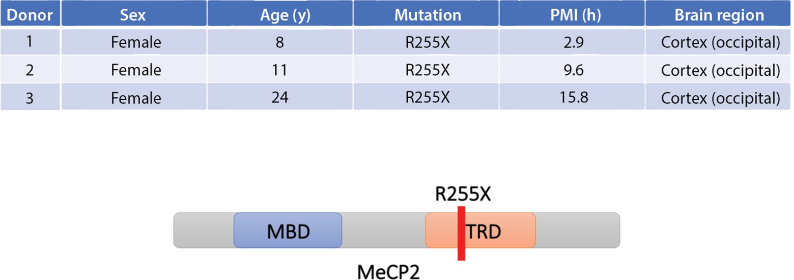 Supplementary Figure 6