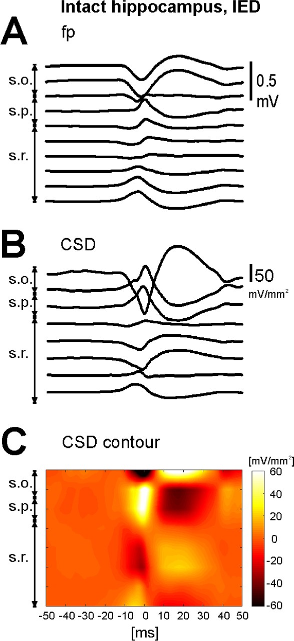 Supplementary Figure 4