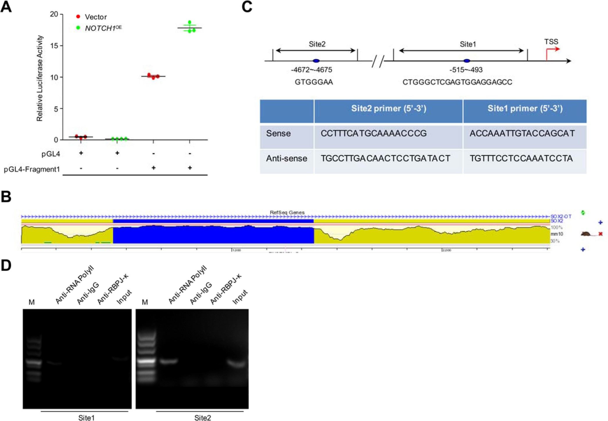 Supplementary Figure 4