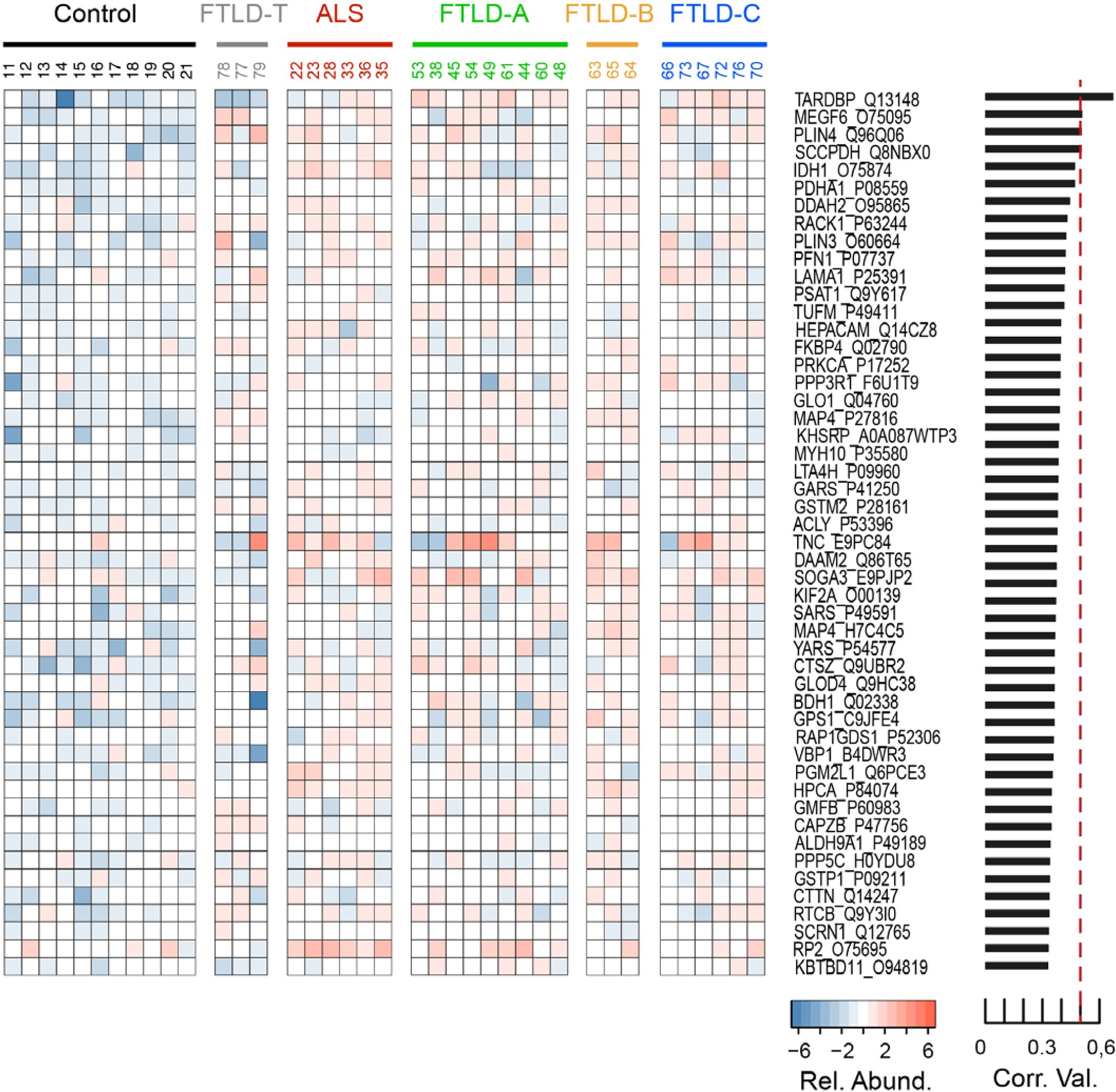 Supplementary Figure 5: SarkoSpin extracts from different ALS and FTLD samples have distinct protein compositions beyond TDP-43.