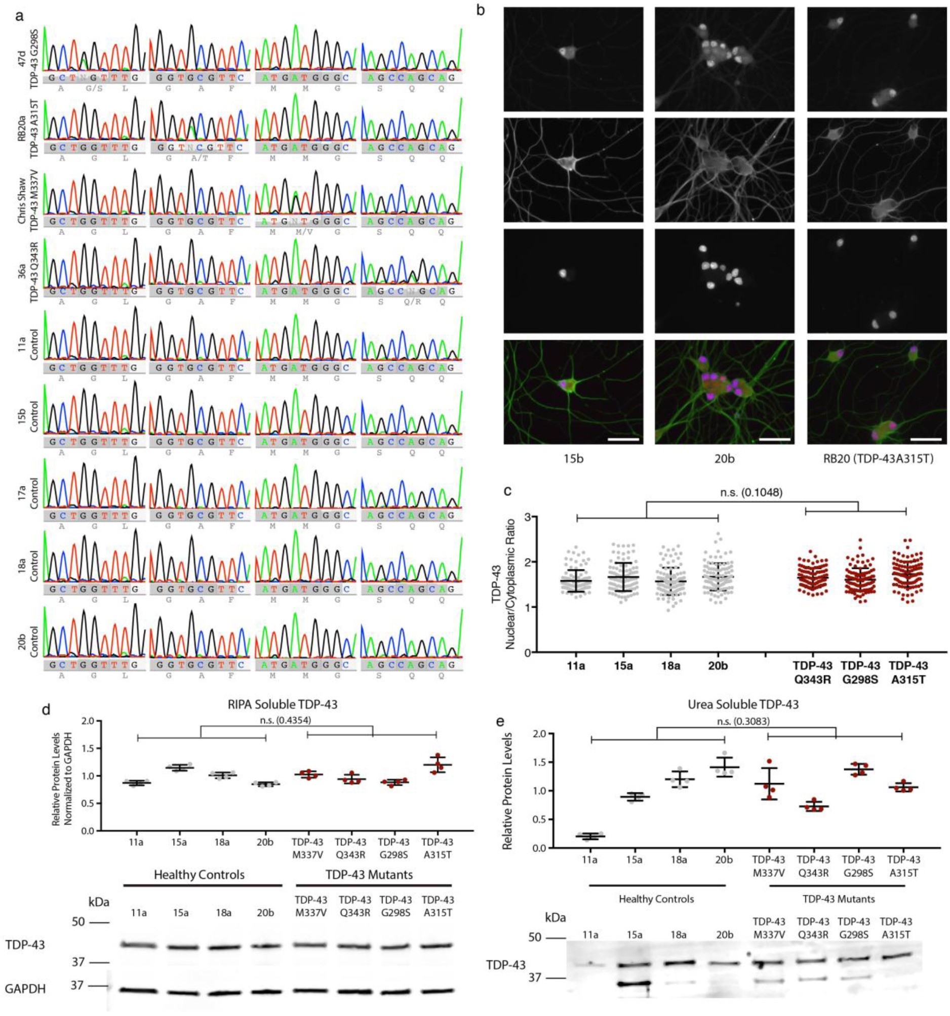 Supplementary Figure 5