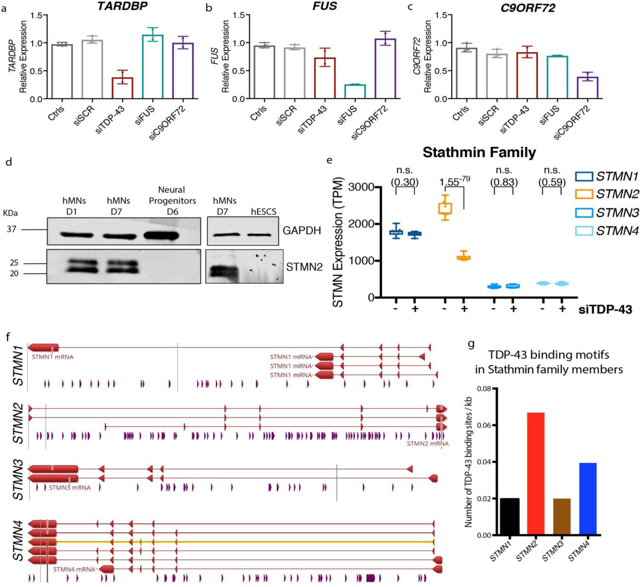 Supplementary Figure 6