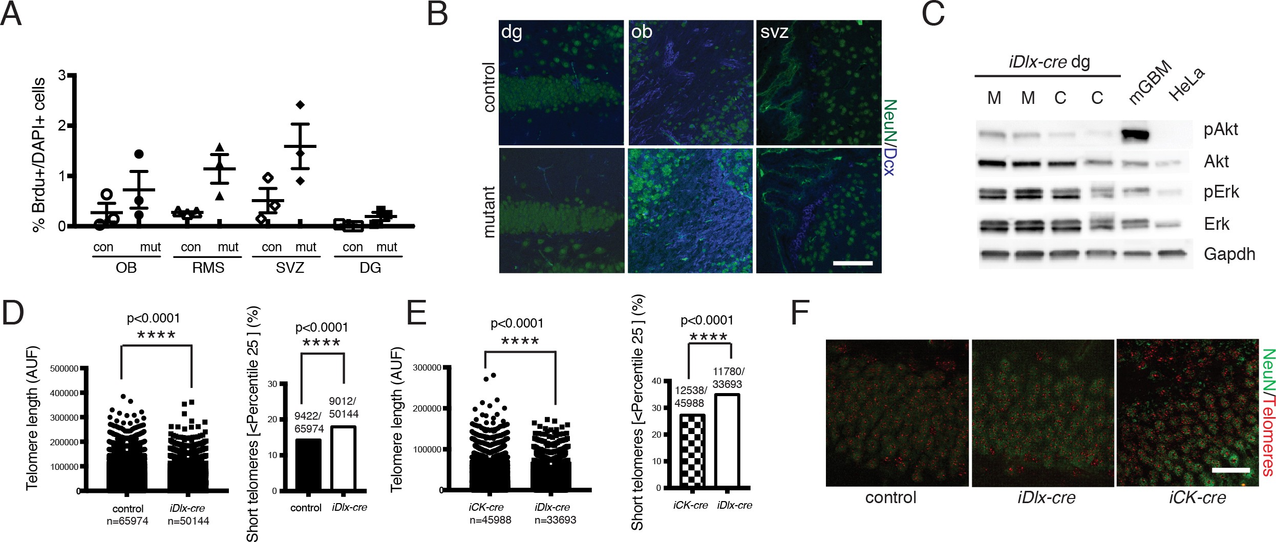 Supplementary Figure 4