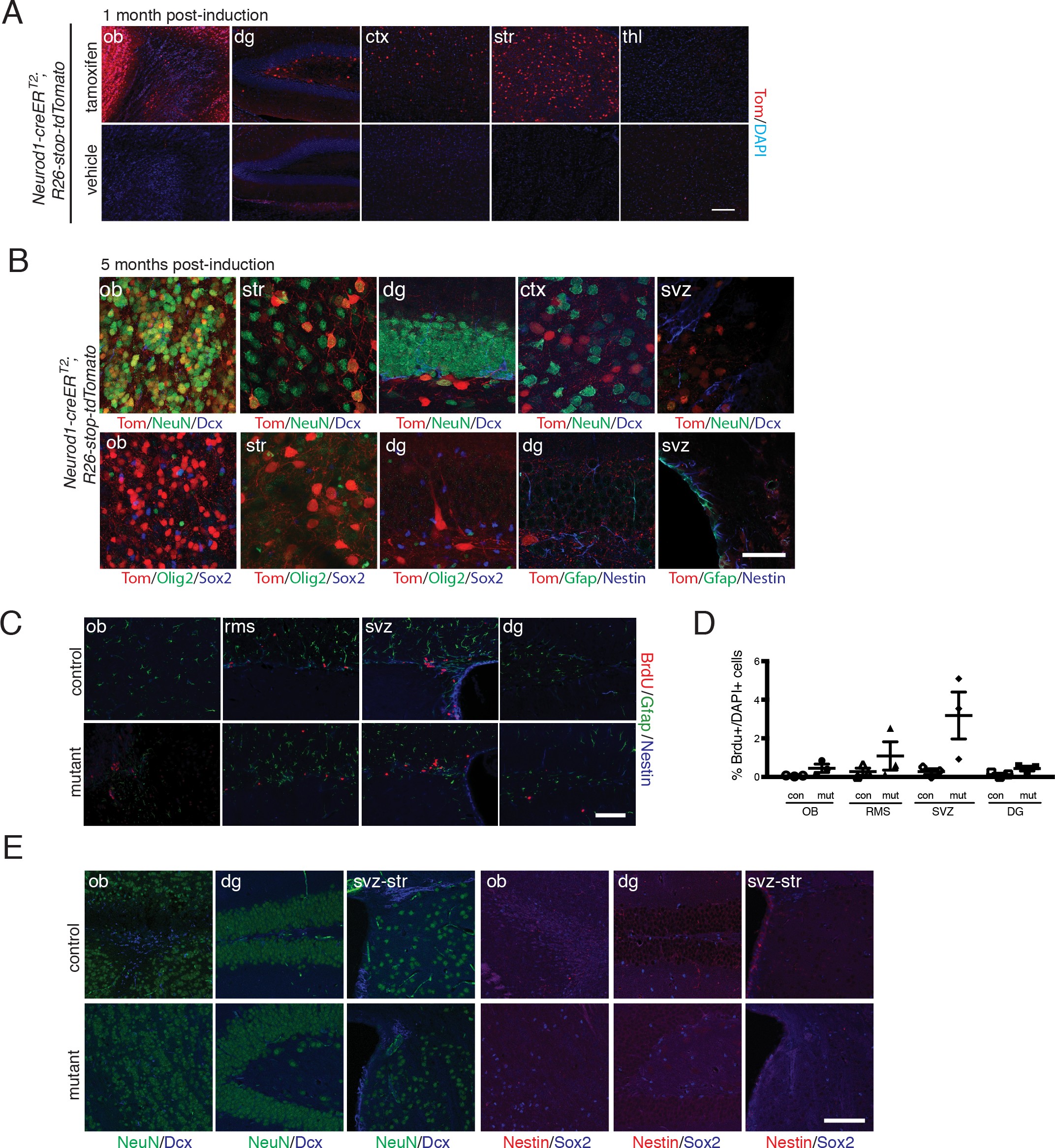 Supplementary Figure 2