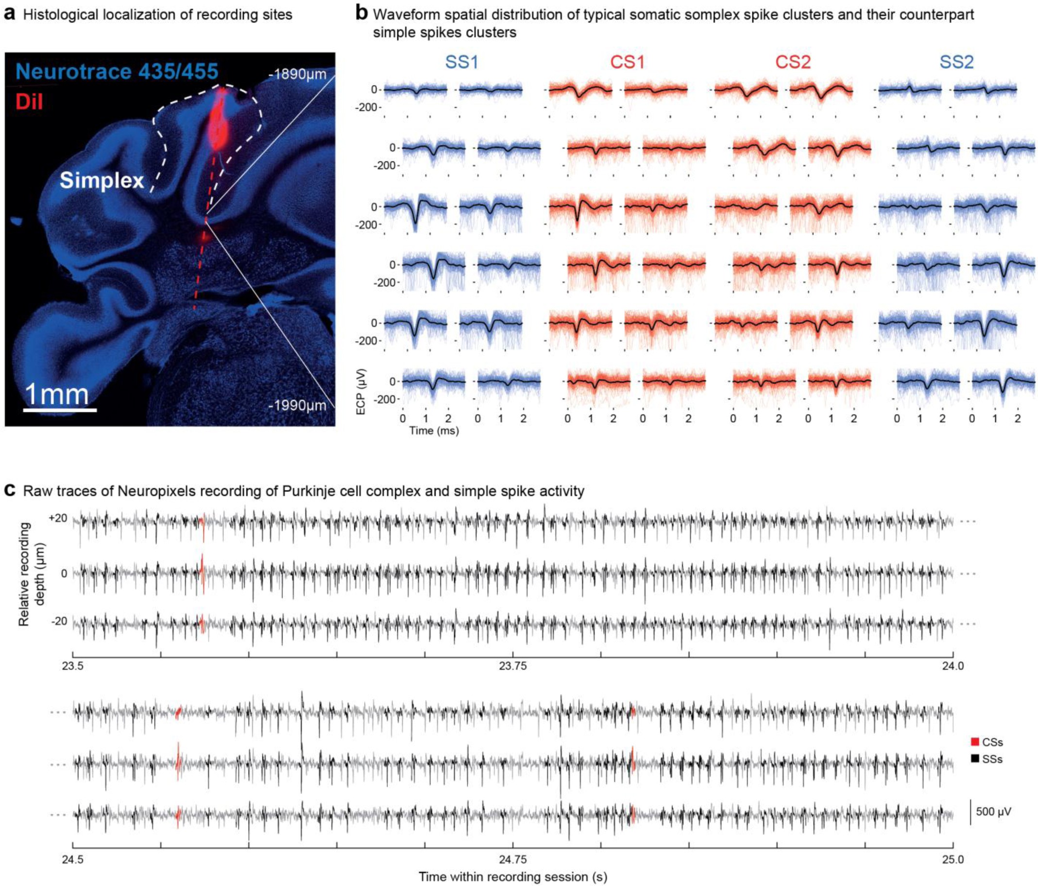 Supplementary Figure 9