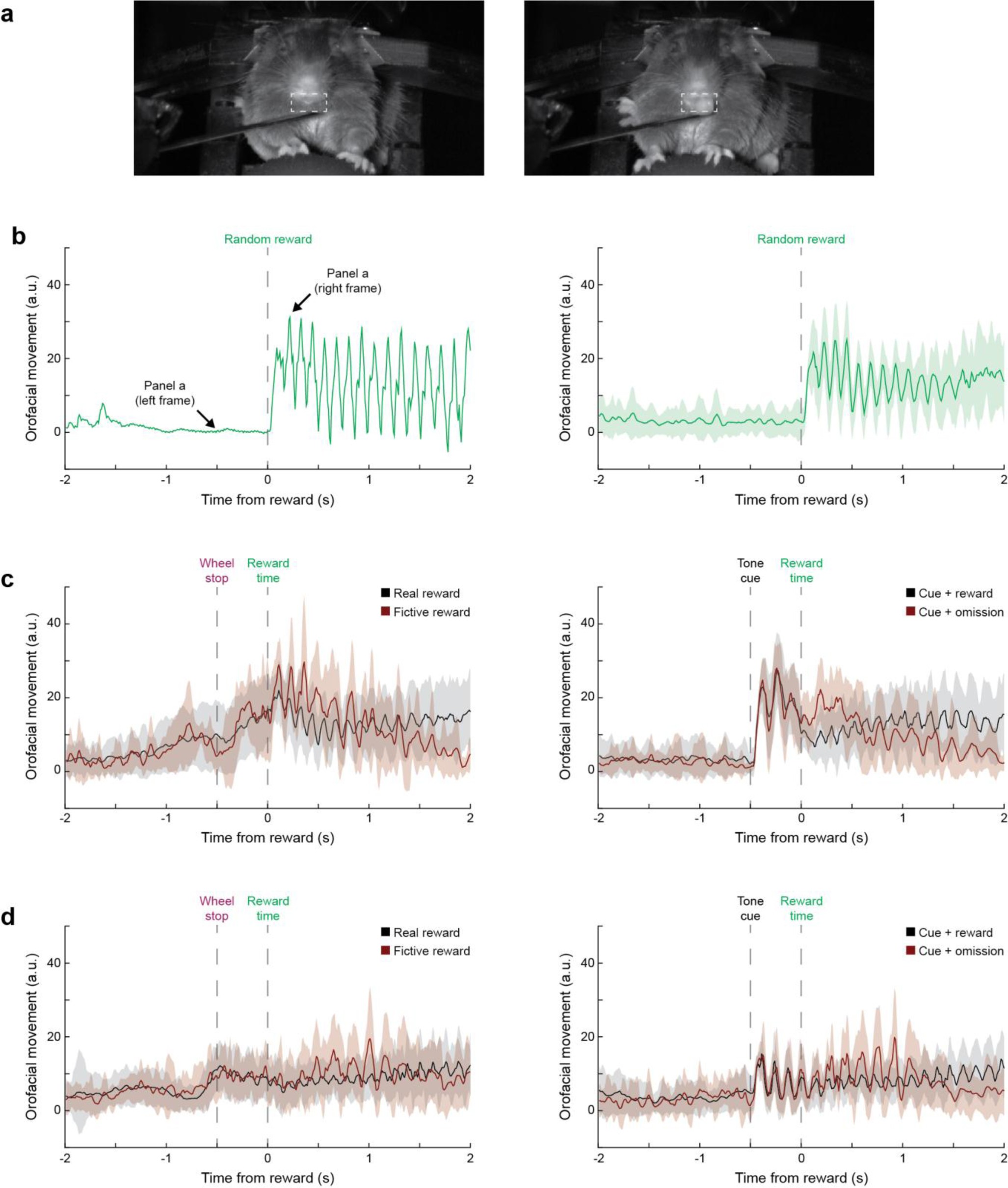 Supplementary Figure 10