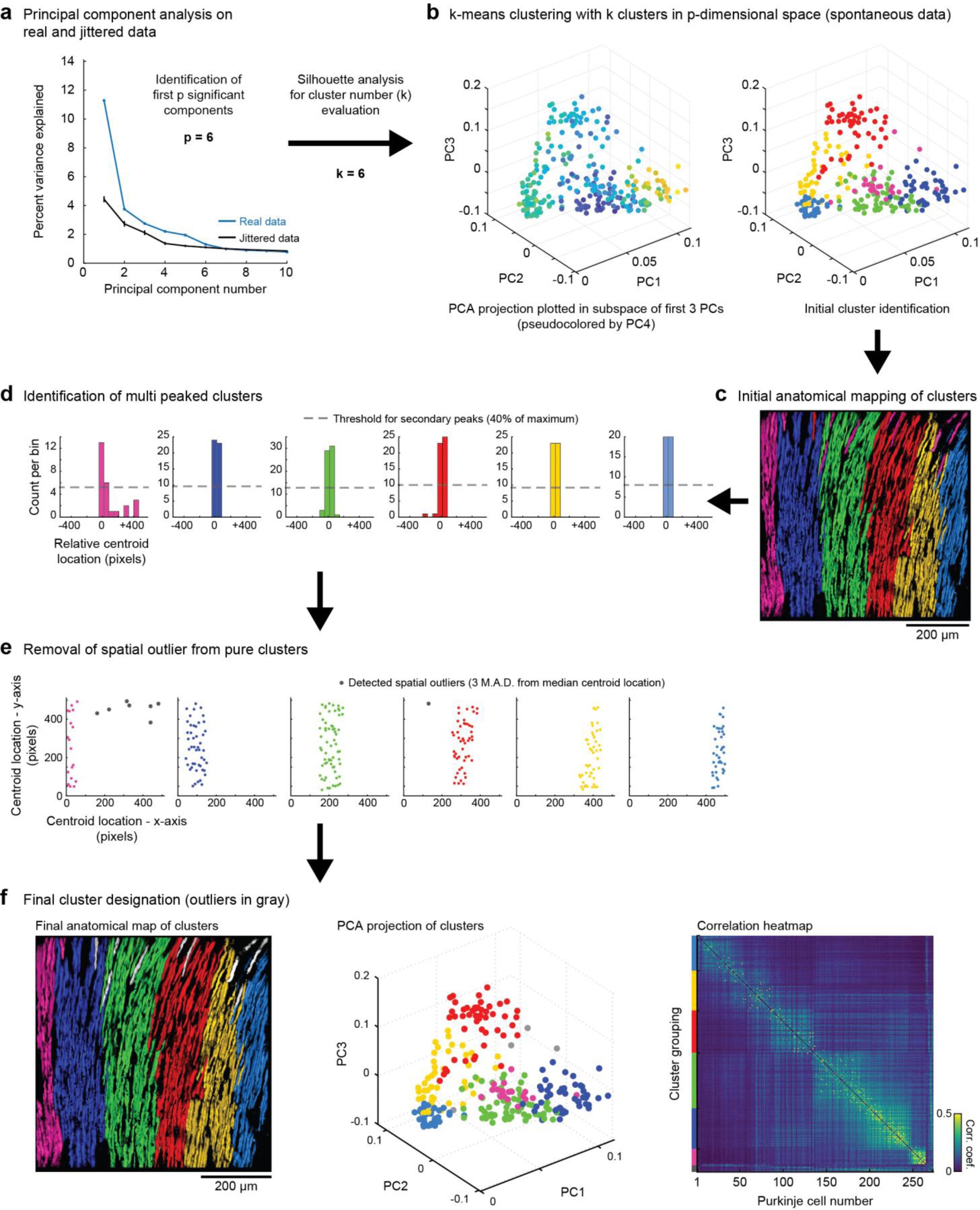 Supplementary Figure 2