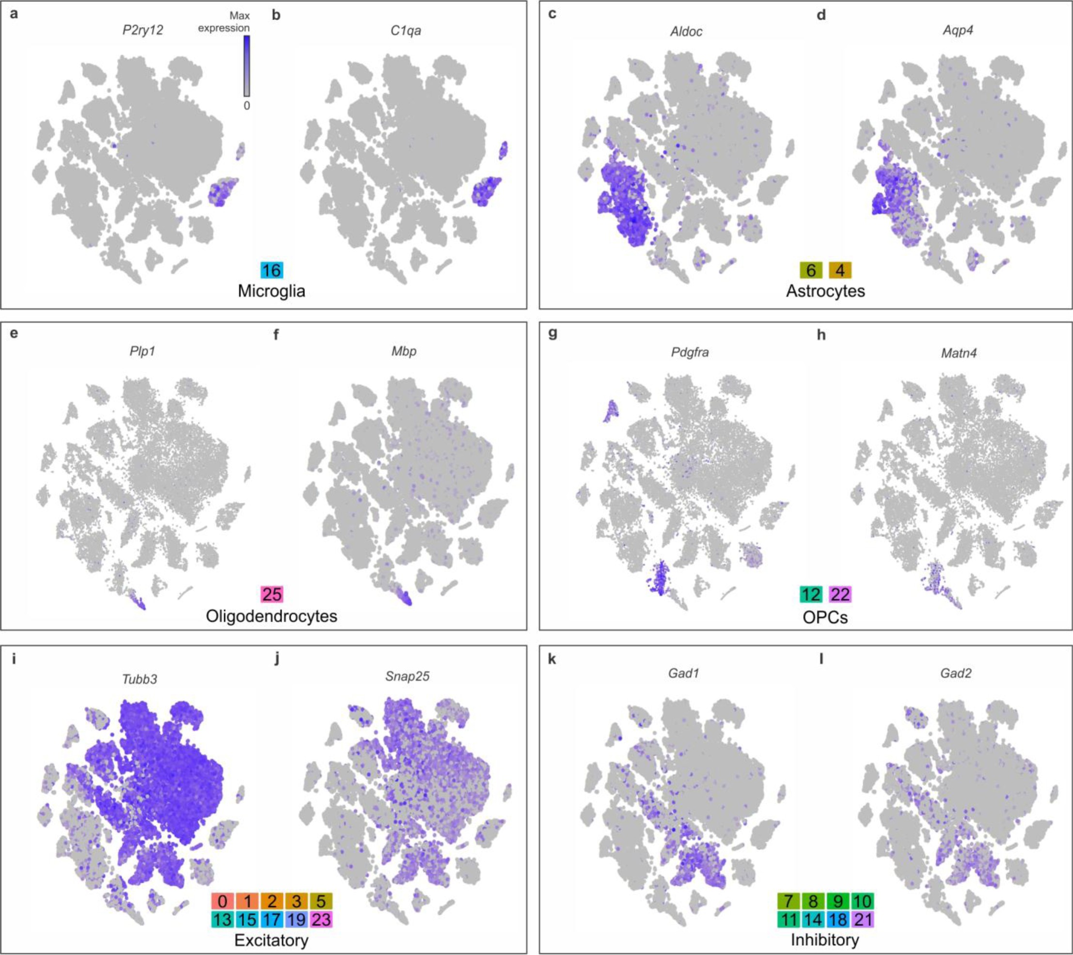Supplementary Figure 8: Cell populations clustered through principal component analysis were identified according to specific cell-type markers.