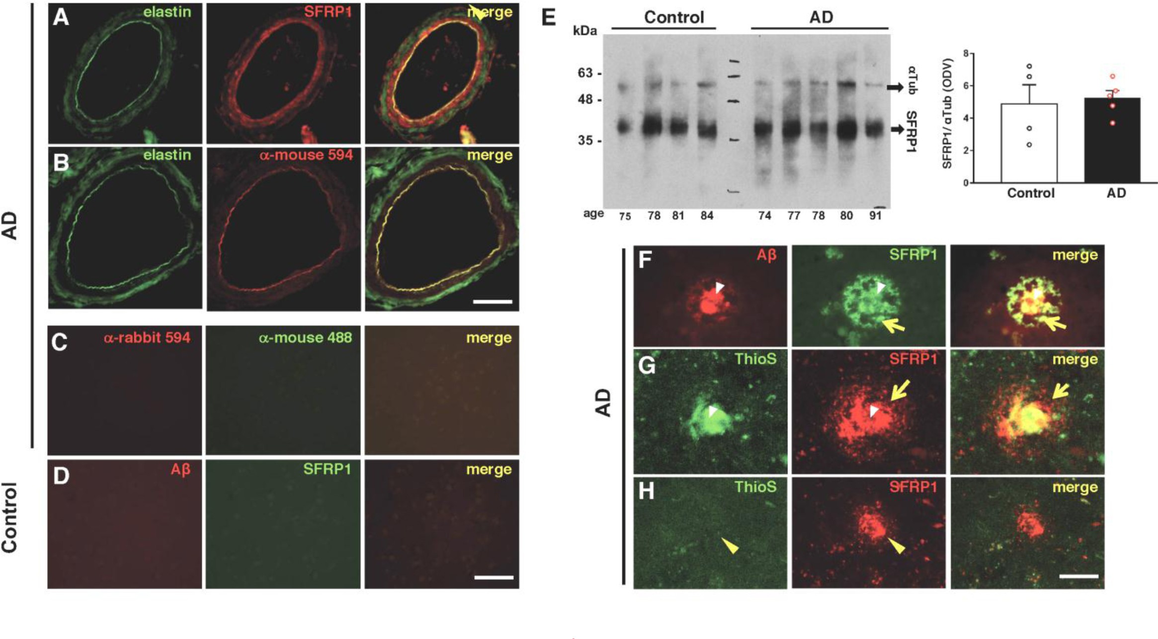 Supplementary Figure 3