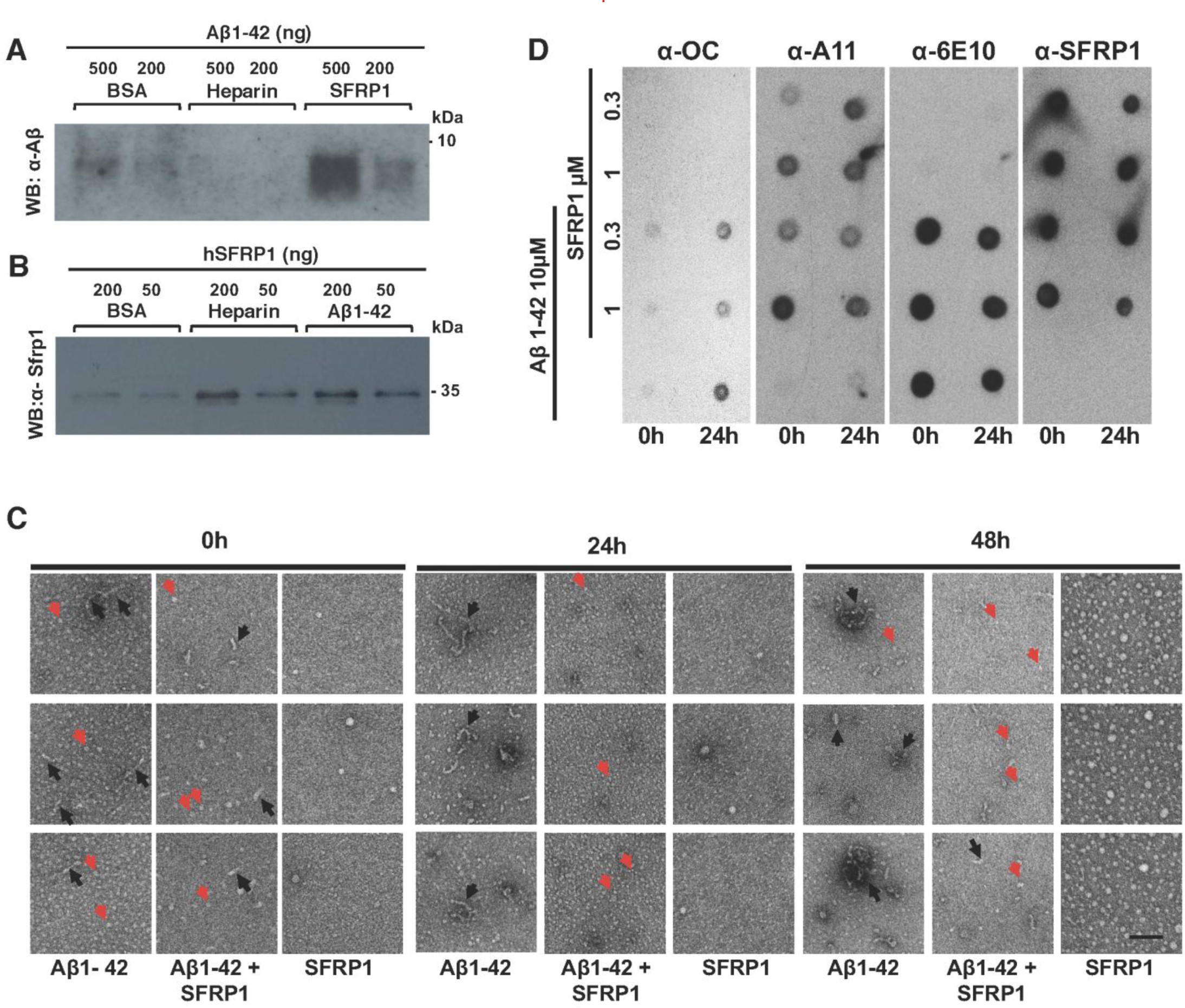 Supplementary Figure 4