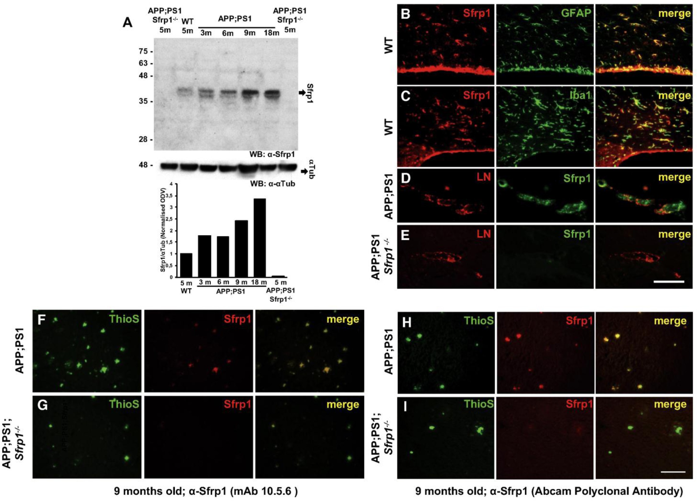 Supplementary Figure 5