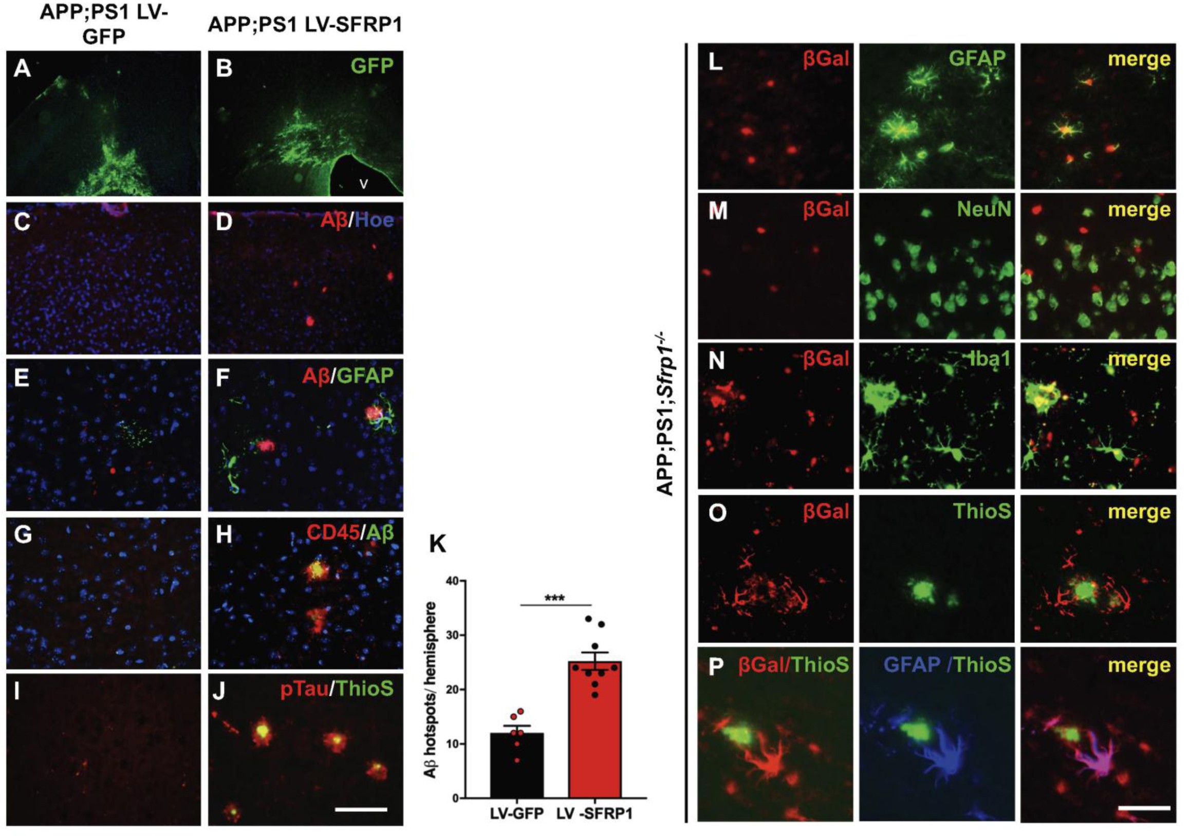 Supplementary Figure 7
