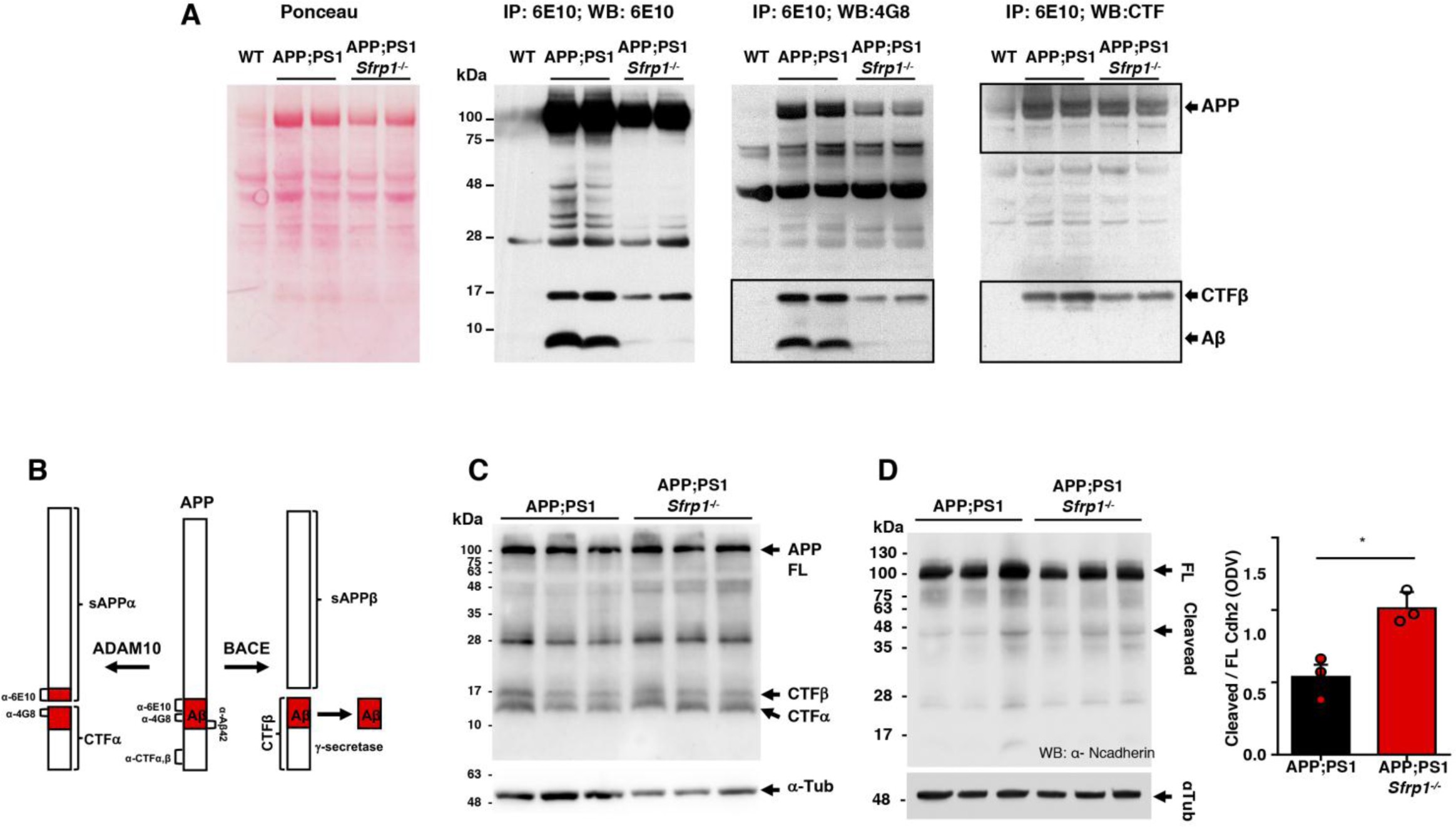 Supplementary Figure 10
