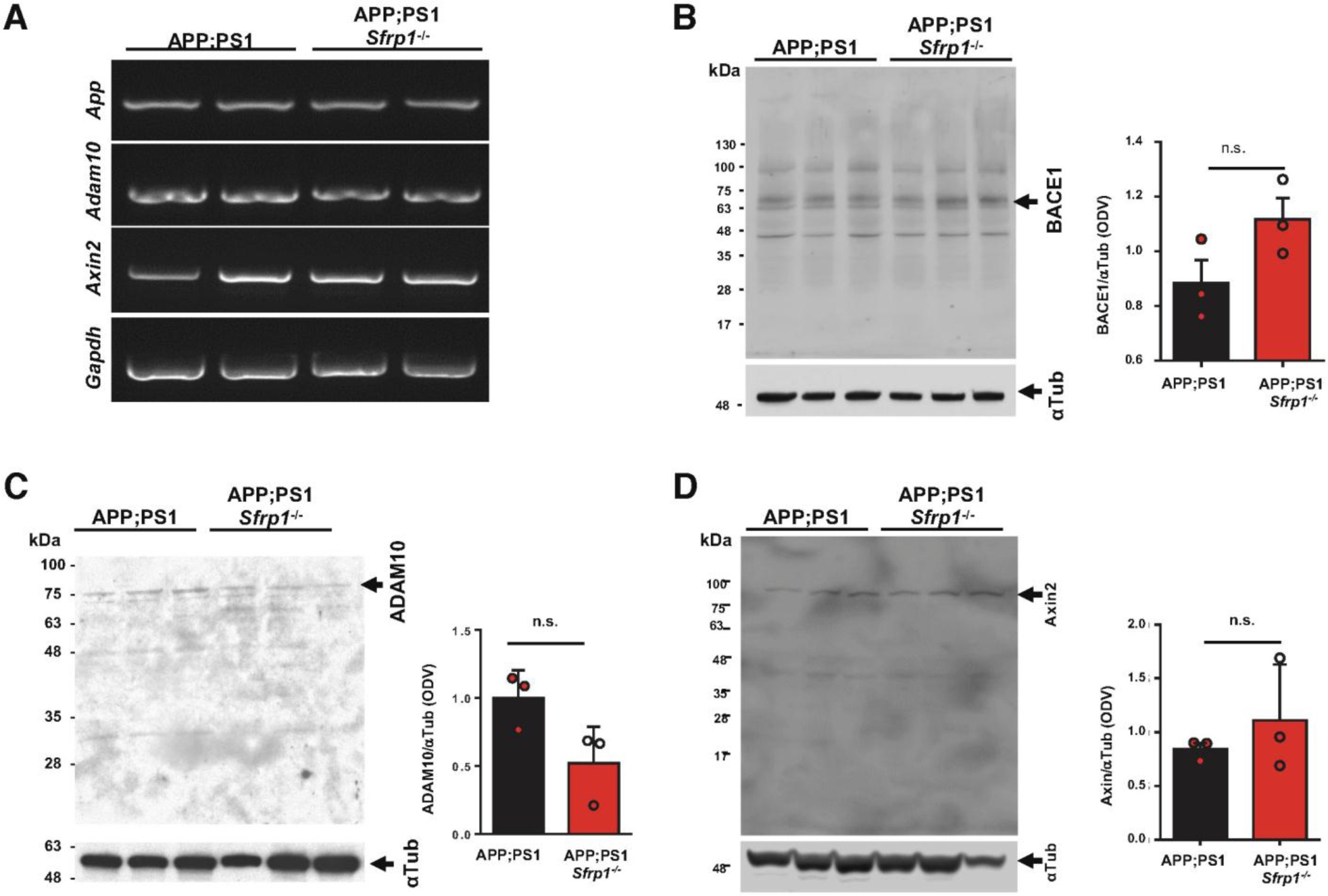 Supplementary Figure 11