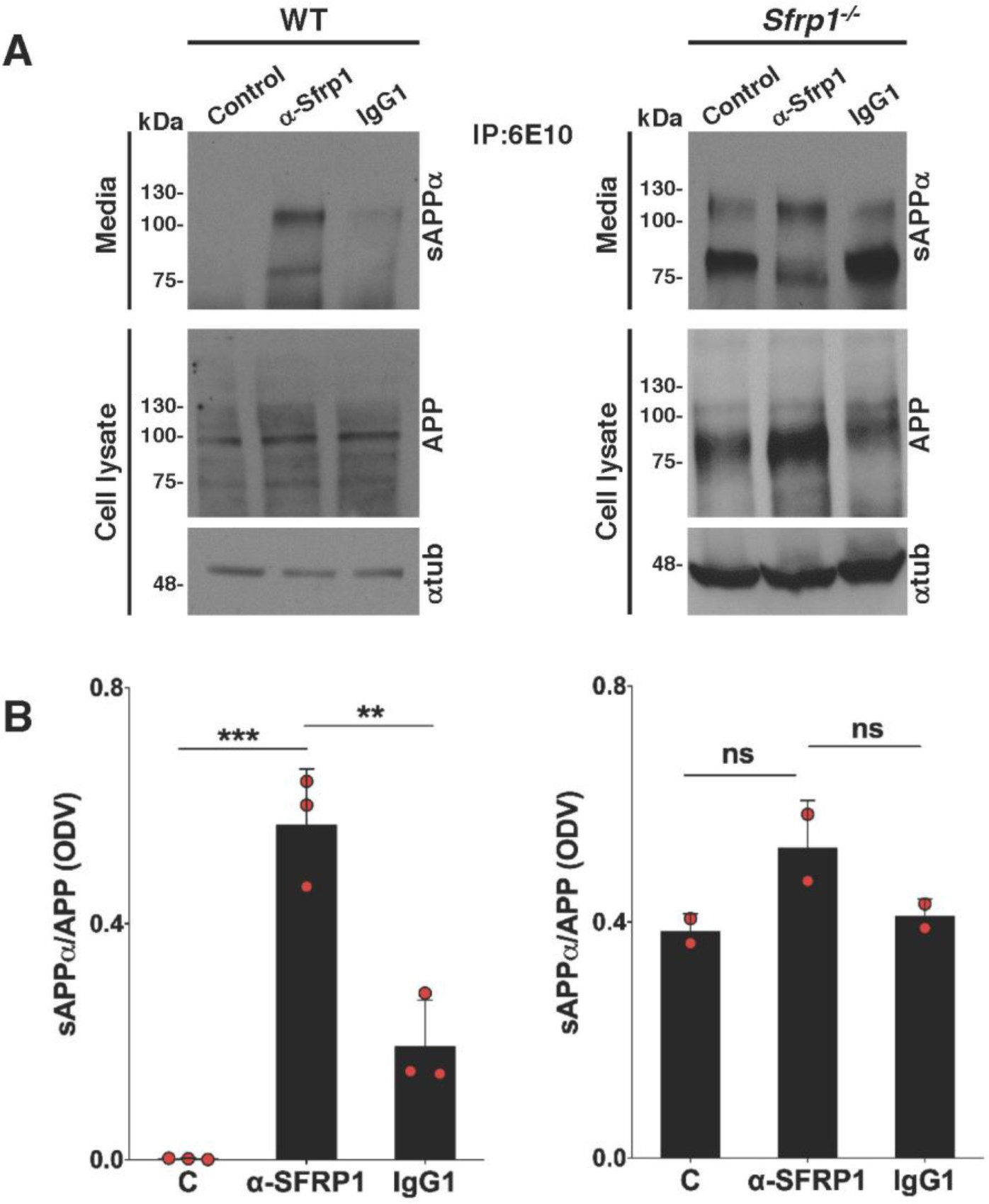 Supplementary Figure 13