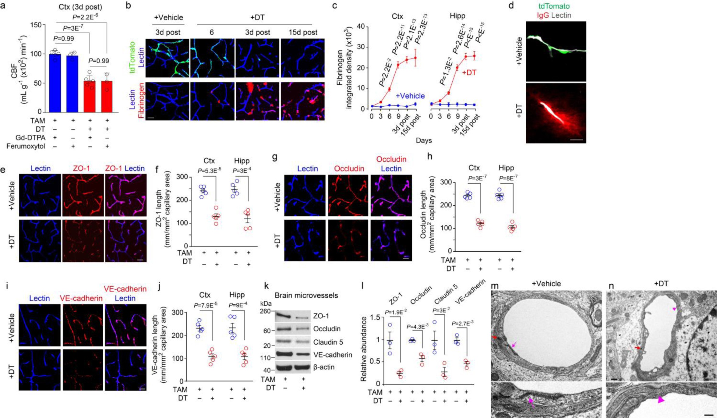 Supplementary Figure 4