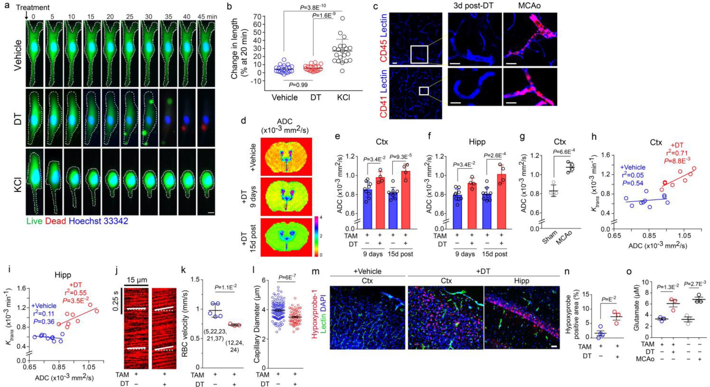 Supplementary Figure 5