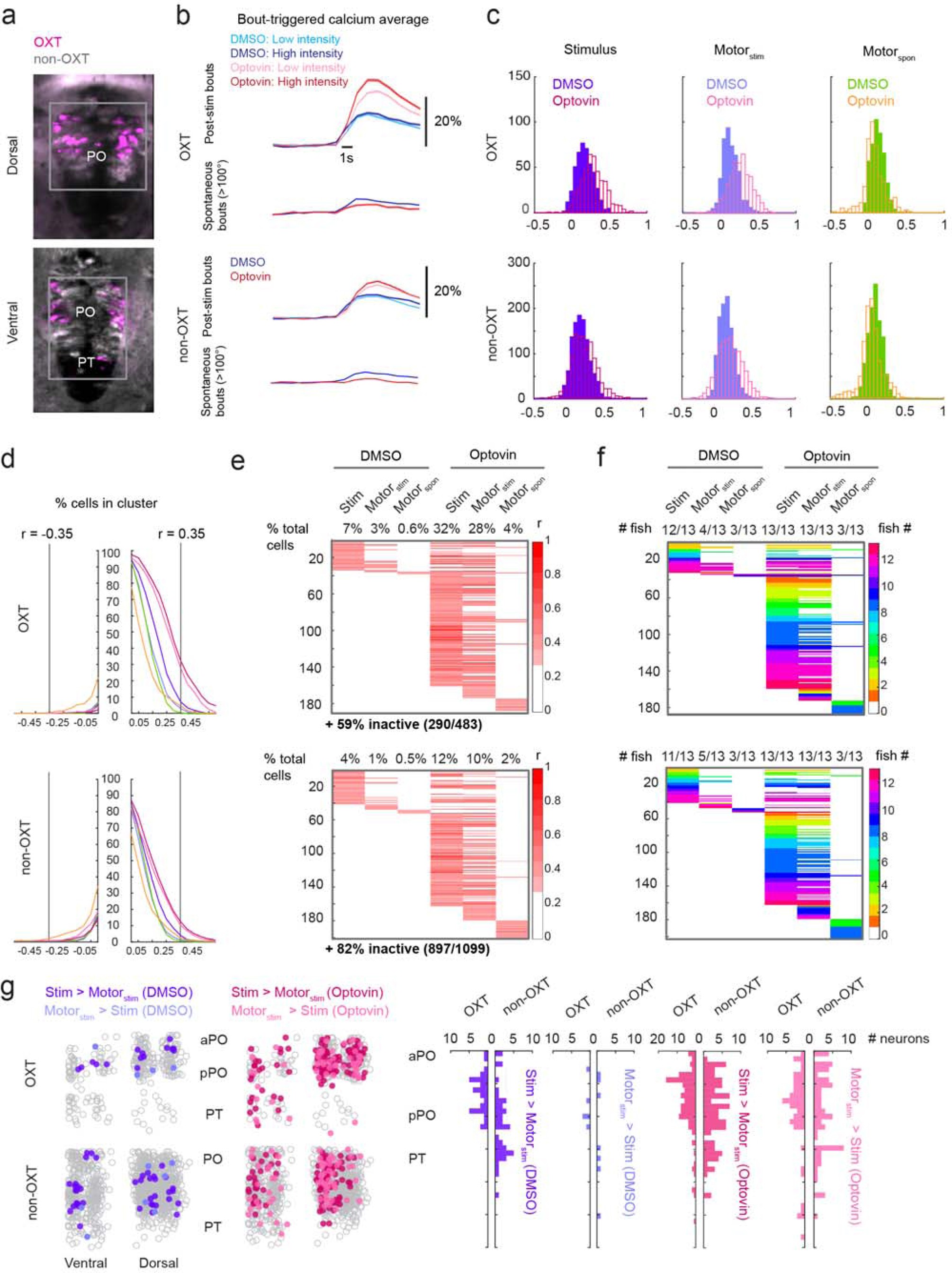 Supplementary Figure 5: Comparison of OXT and non-OXT responses to TRPA1 stimulation.