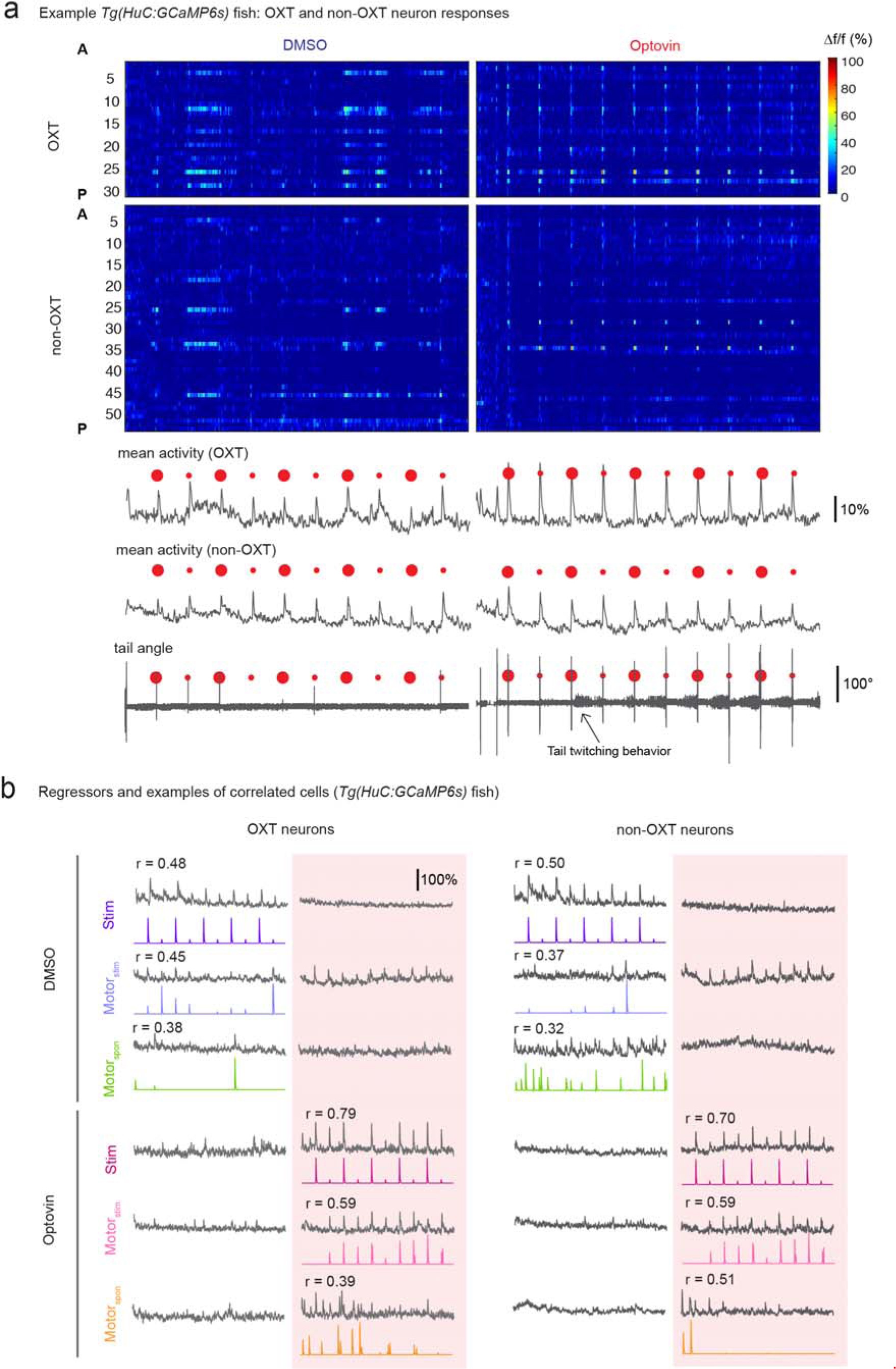 Supplementary Figure 6: Comparison of OXT and non-OXT responses to TRPA1 stimulation (continued).
