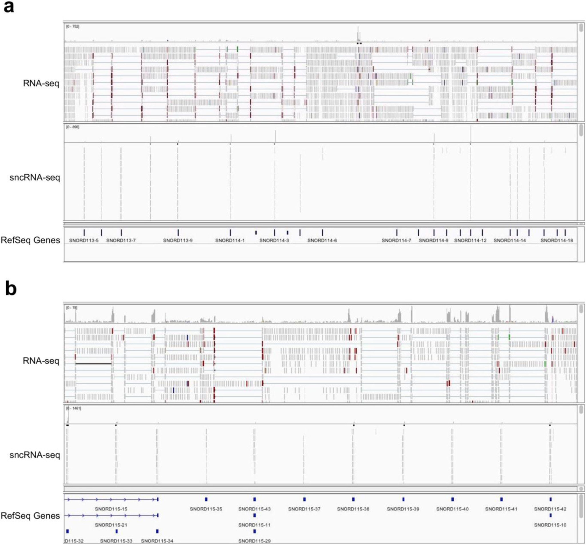 Supplementary Figure 7