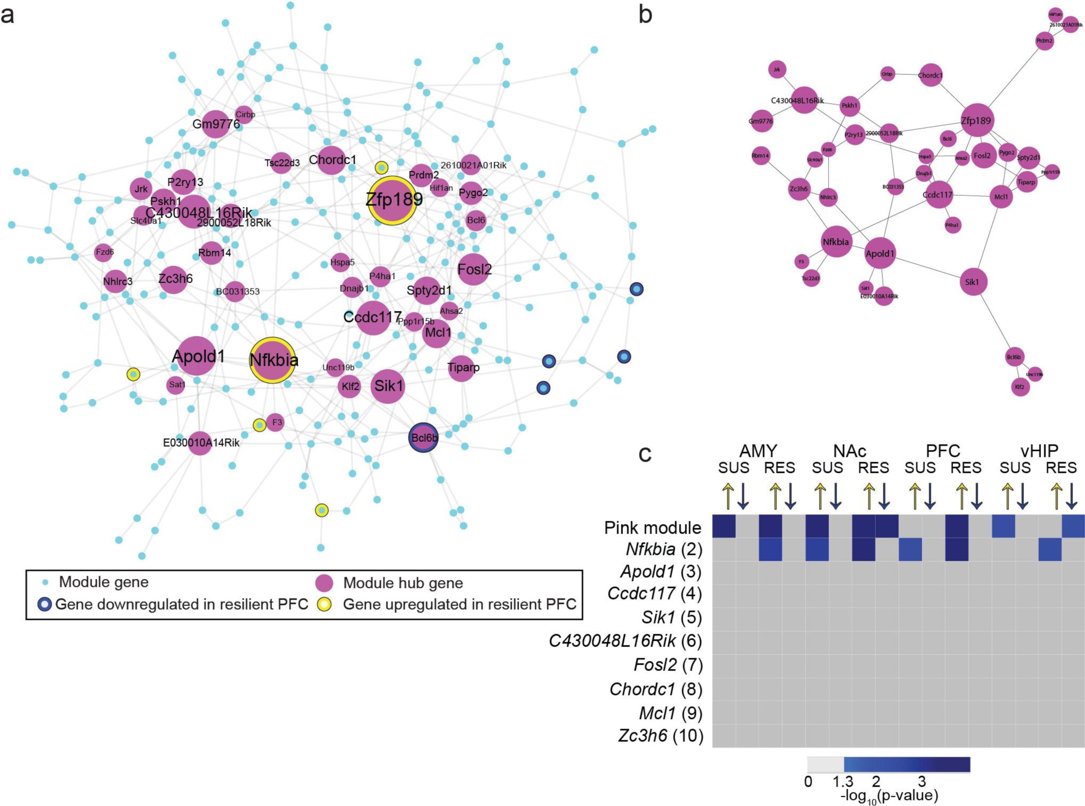 Supplementary Figure 2: Pink module resilient characteristics and Zfp189 behavior.