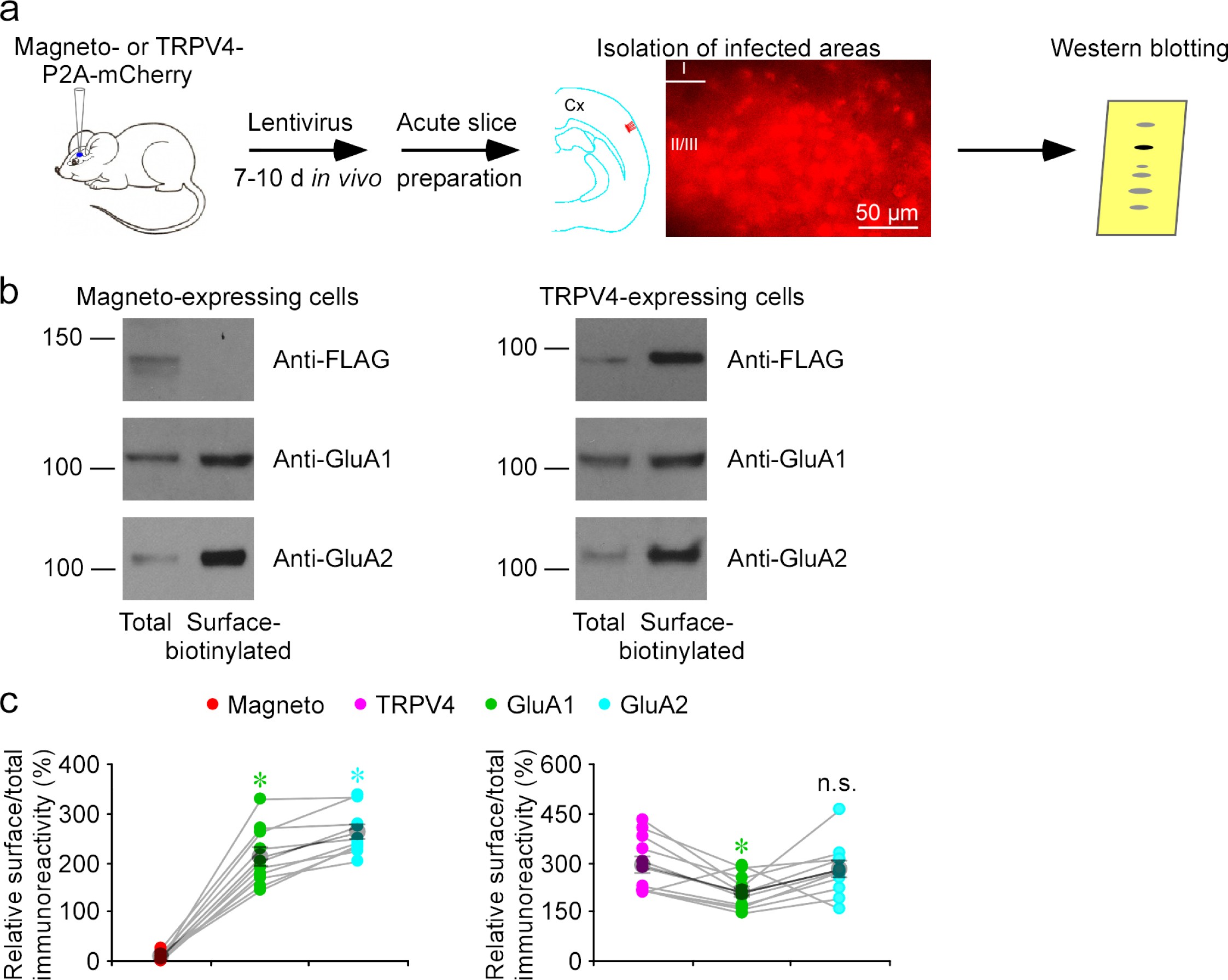 Supplementary Figure 3