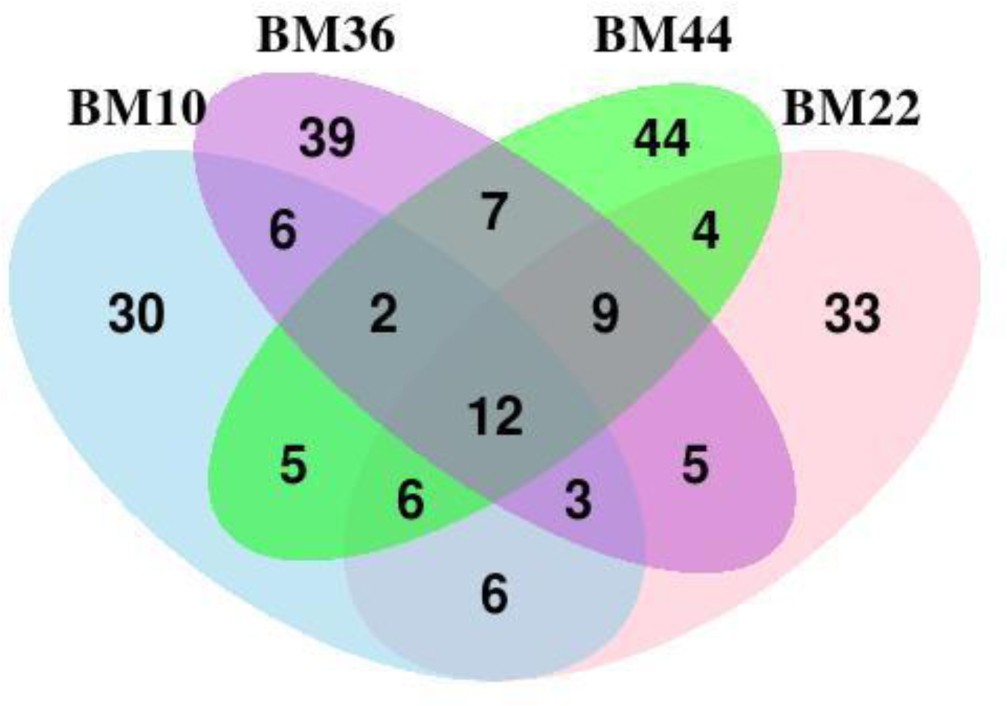 Supplementary Figure 7