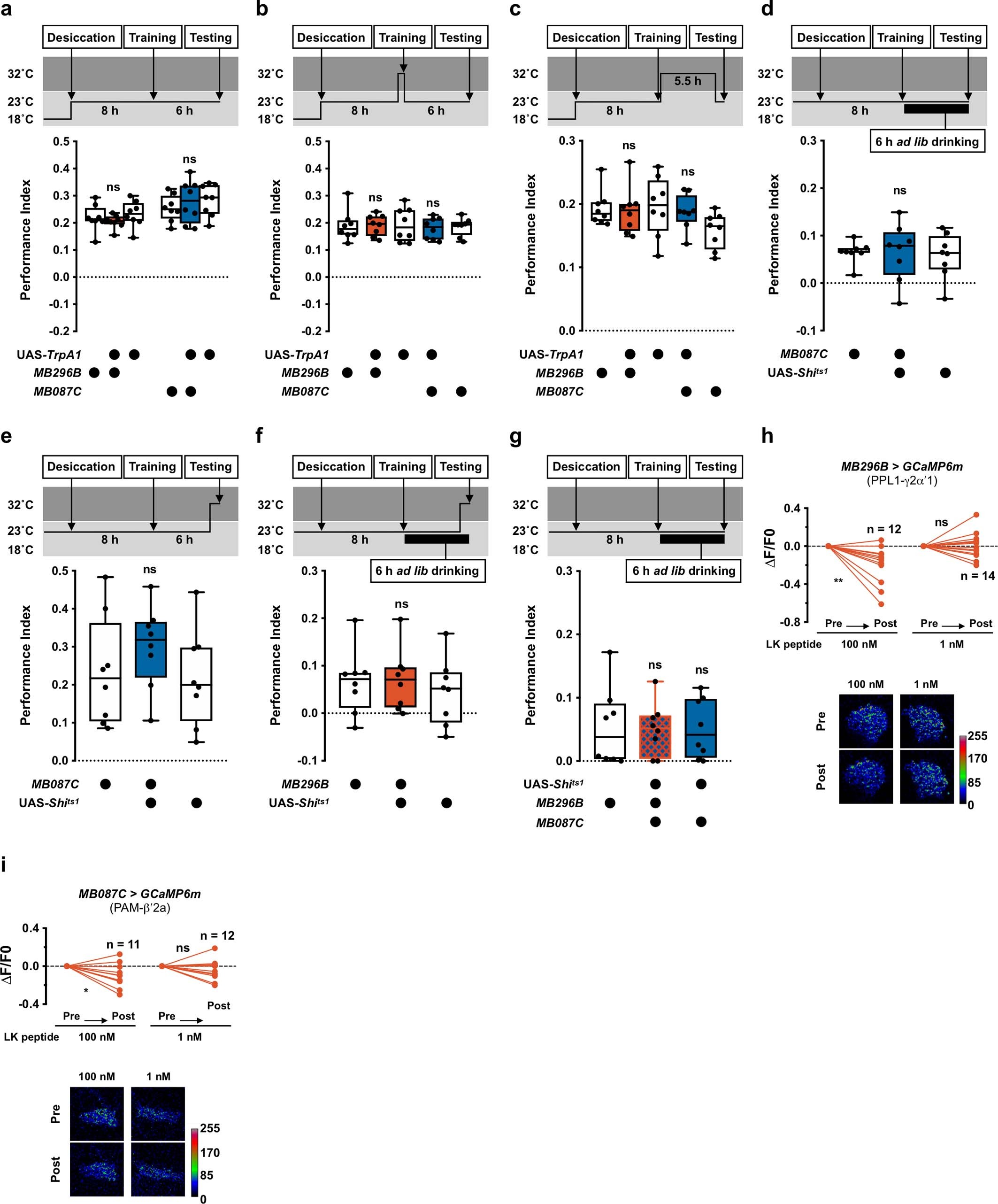Extended Data Fig. 3: Controls and additional experiments related to Fig. 3.