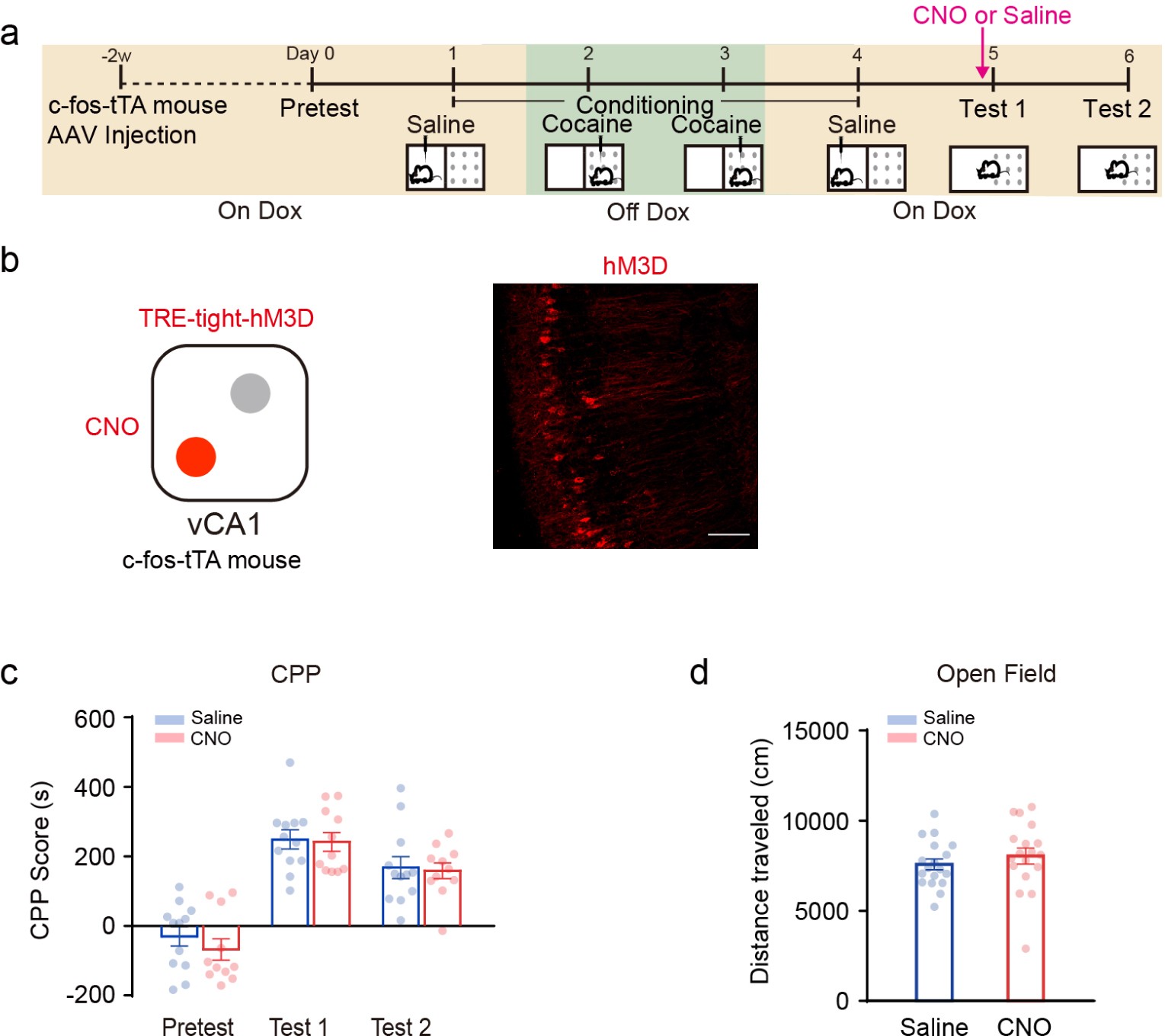 Supplementary Figure 7