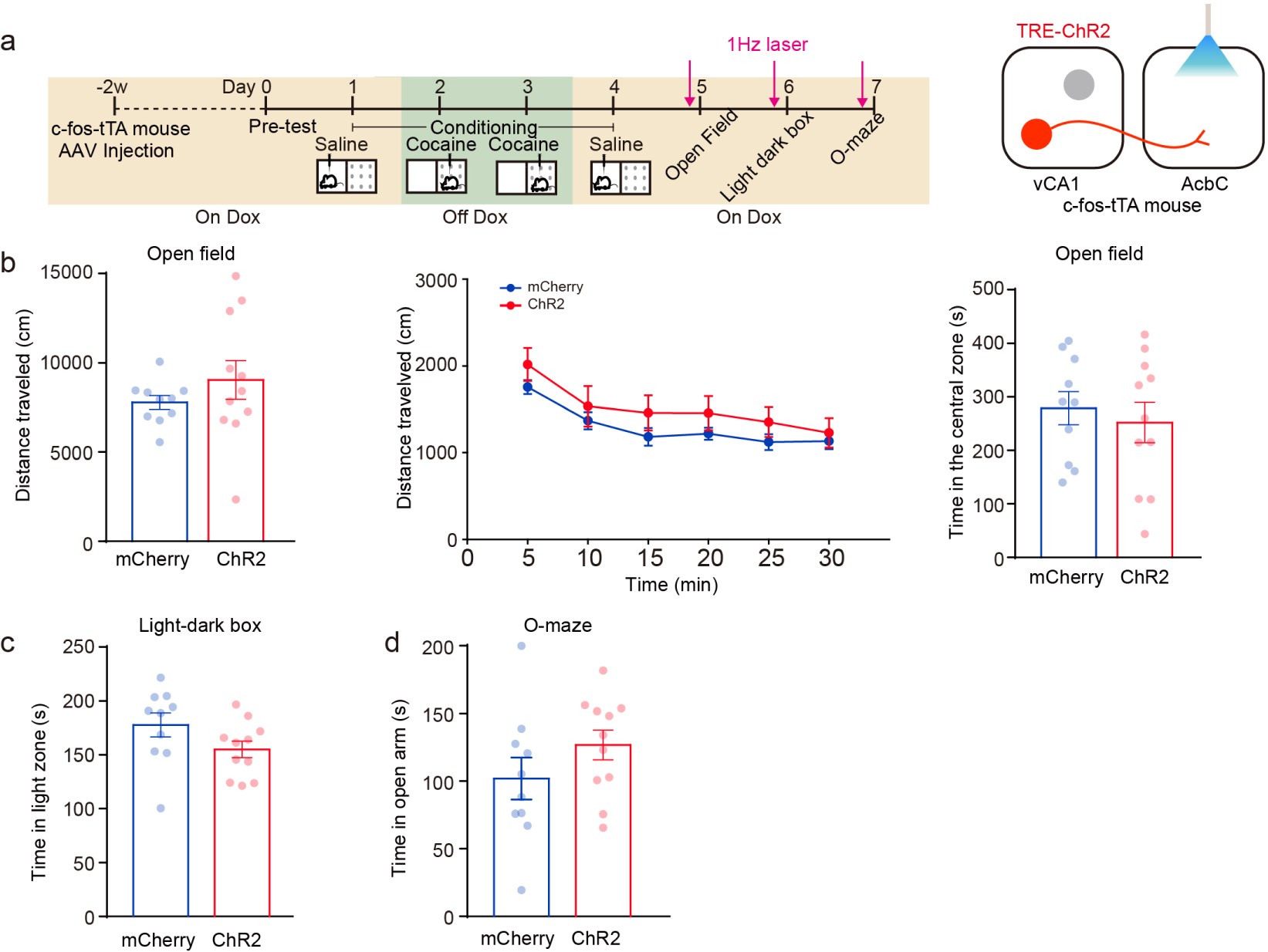 Supplementary Figure 12