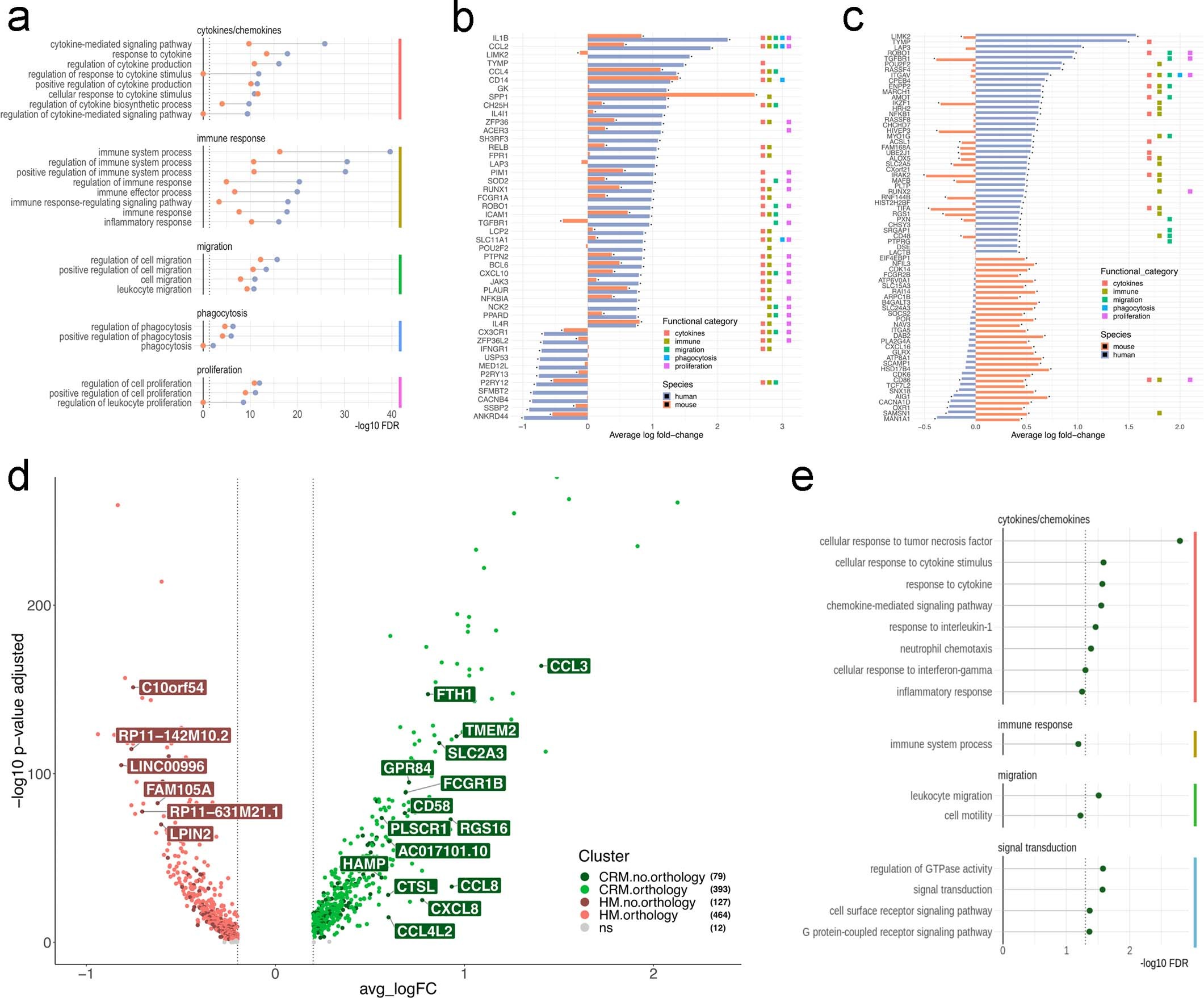 Extended Data Fig. 10: Differential responses of human and host mouse microglia to oligomeric amyloid-β.