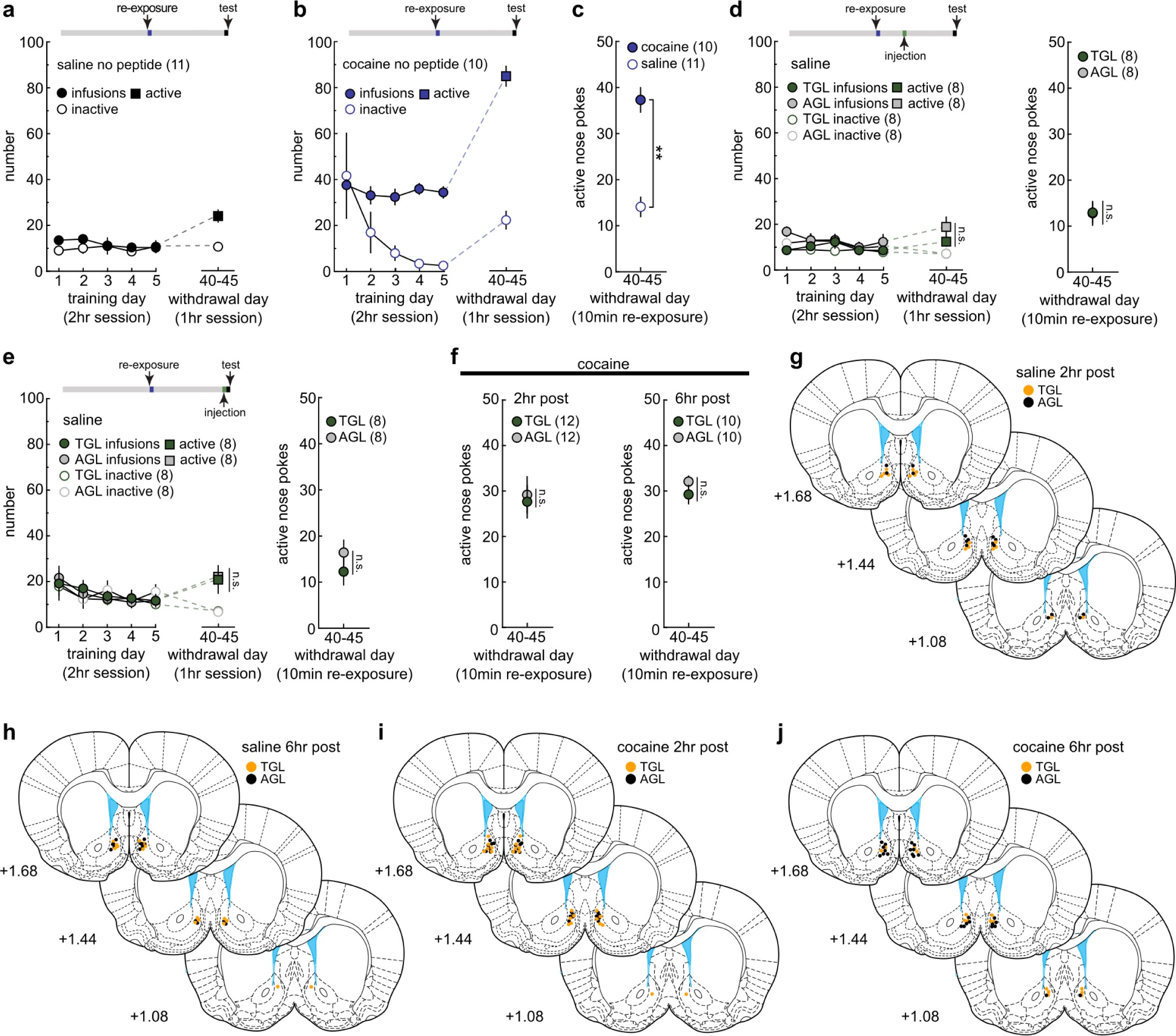 Supplementary Fig. 5: Additional behavioral controls for experiments in Fig. 3.