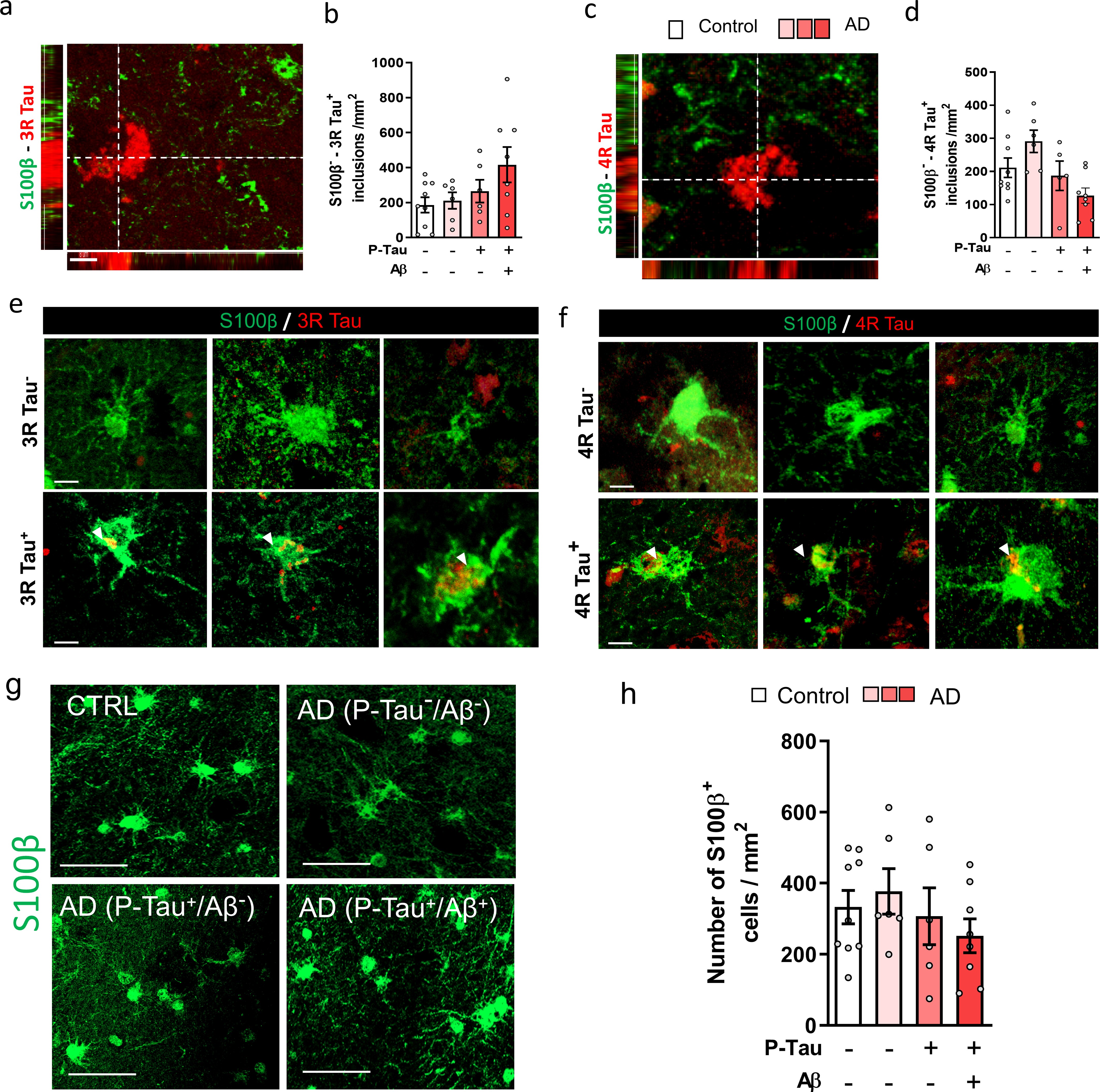 Extended Data Fig. 3