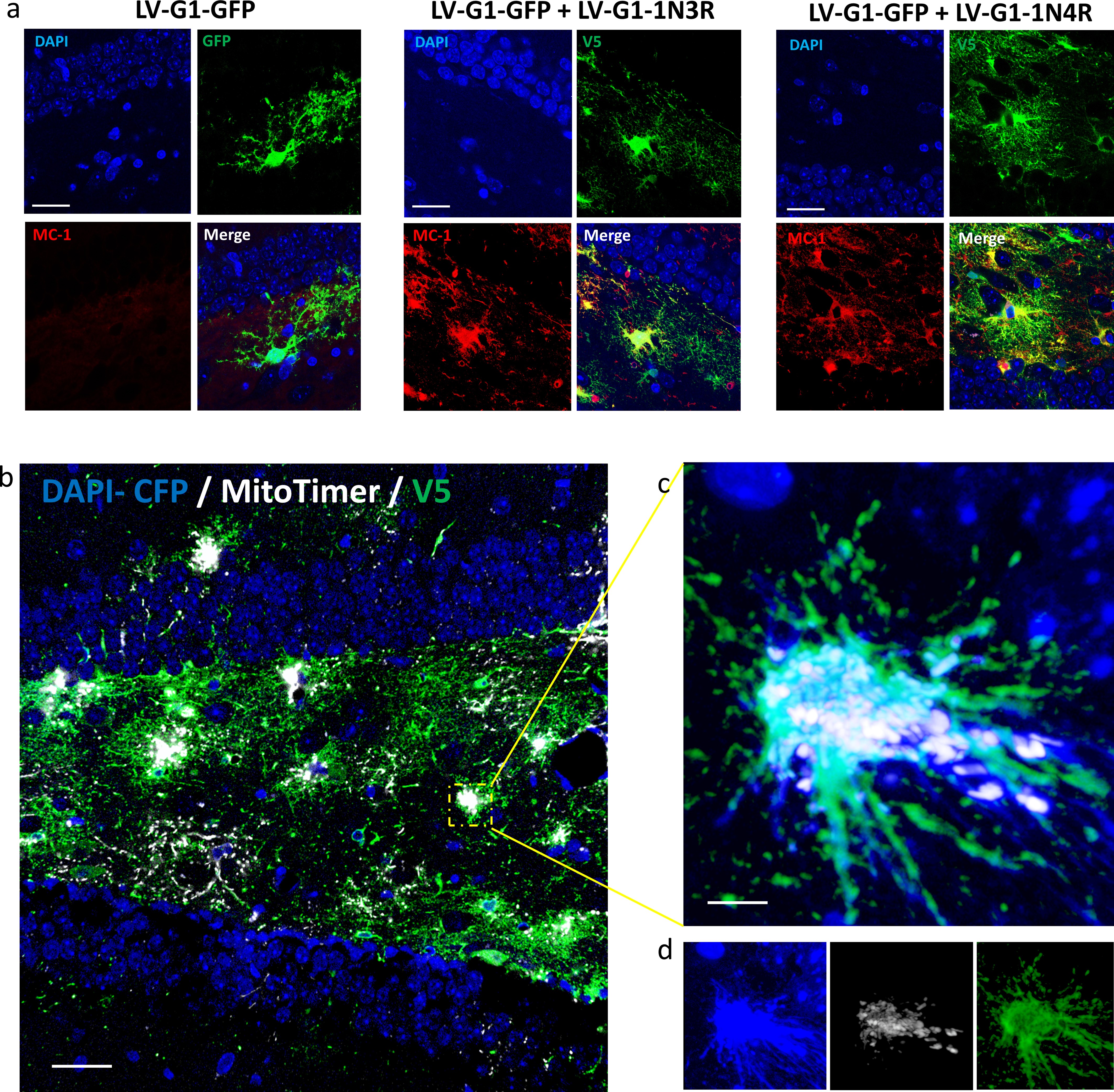 Extended Data Fig. 6